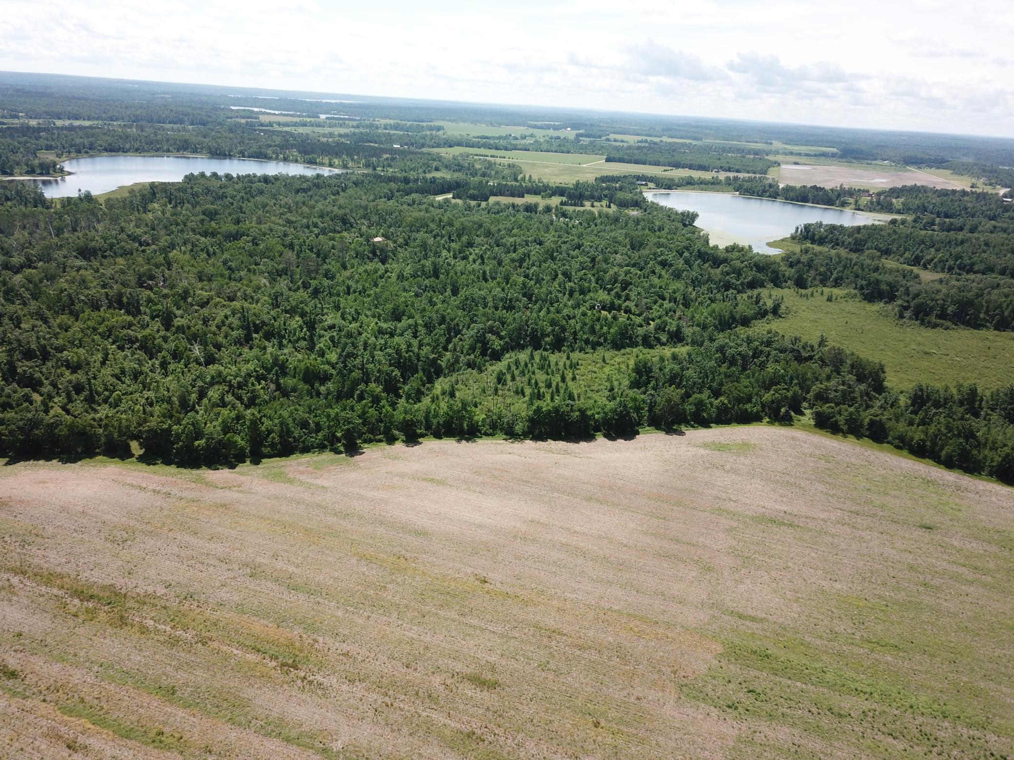 Tbd Boot Lake Road Southwest Bemidji, MN 56601 - Photo 11 of 55