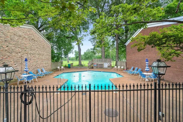 a view of a backyard