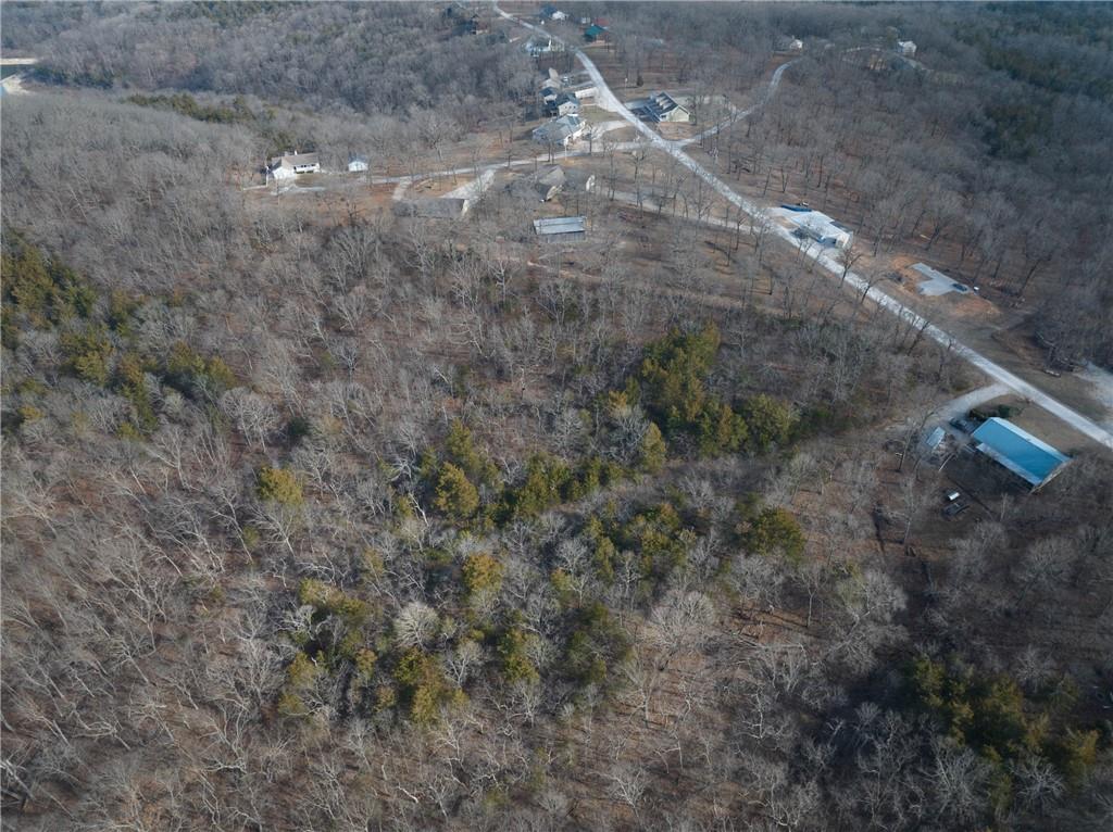 4-acres Gypsy Road Warsaw, MO 65355 - Photo 4 of 14