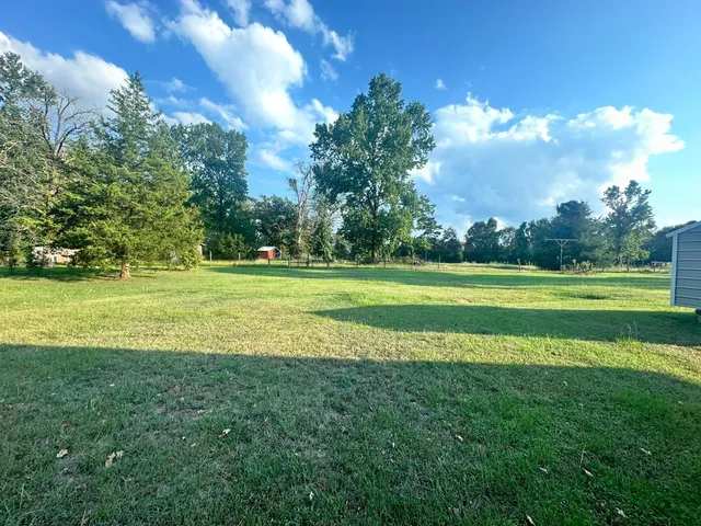 a view of a trees with a big yard