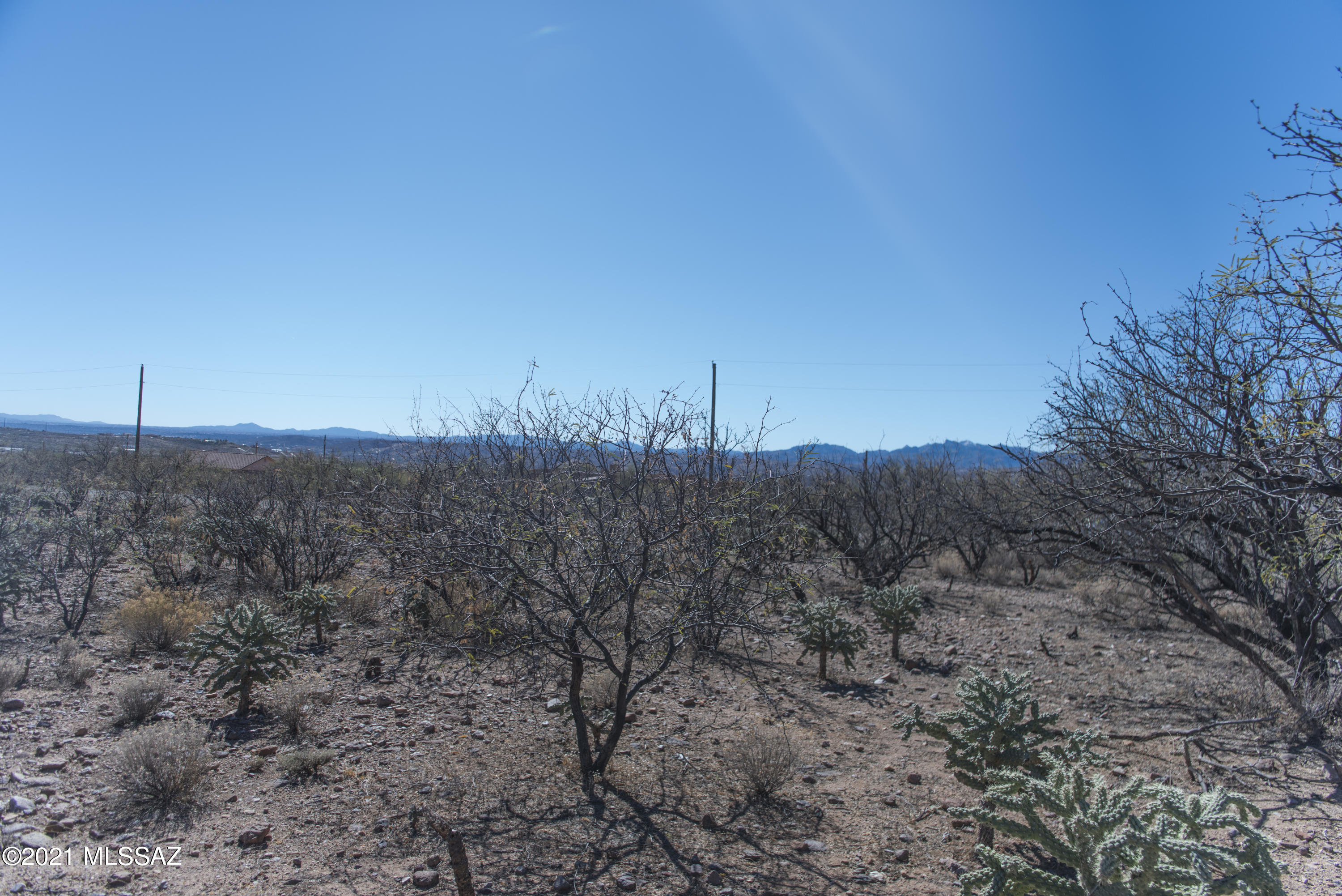 1781 Laponia Corte, Unit 28 Rio Rico, AZ 85648 - Photo 7 of 25 a view of a forest