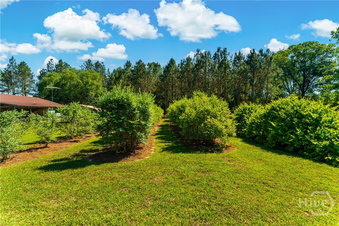 4236 South Newton Road Millen, GA 30442 - Photo 53 of 56