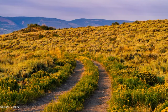 a view of a street with a building in the background