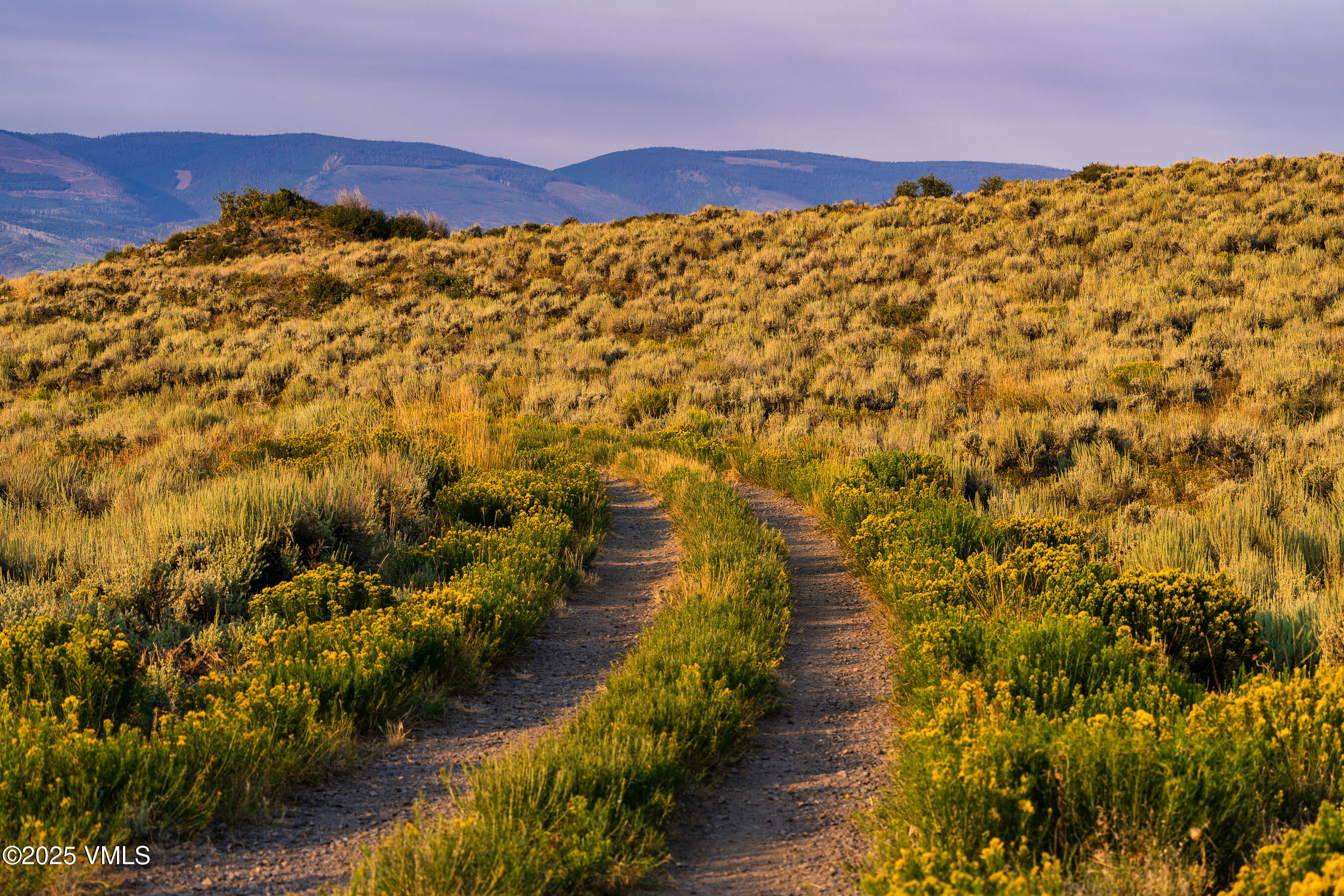 Tbd Diamond Star Road Edwards, CO 81632 - Photo 12 of 36 a view of a city