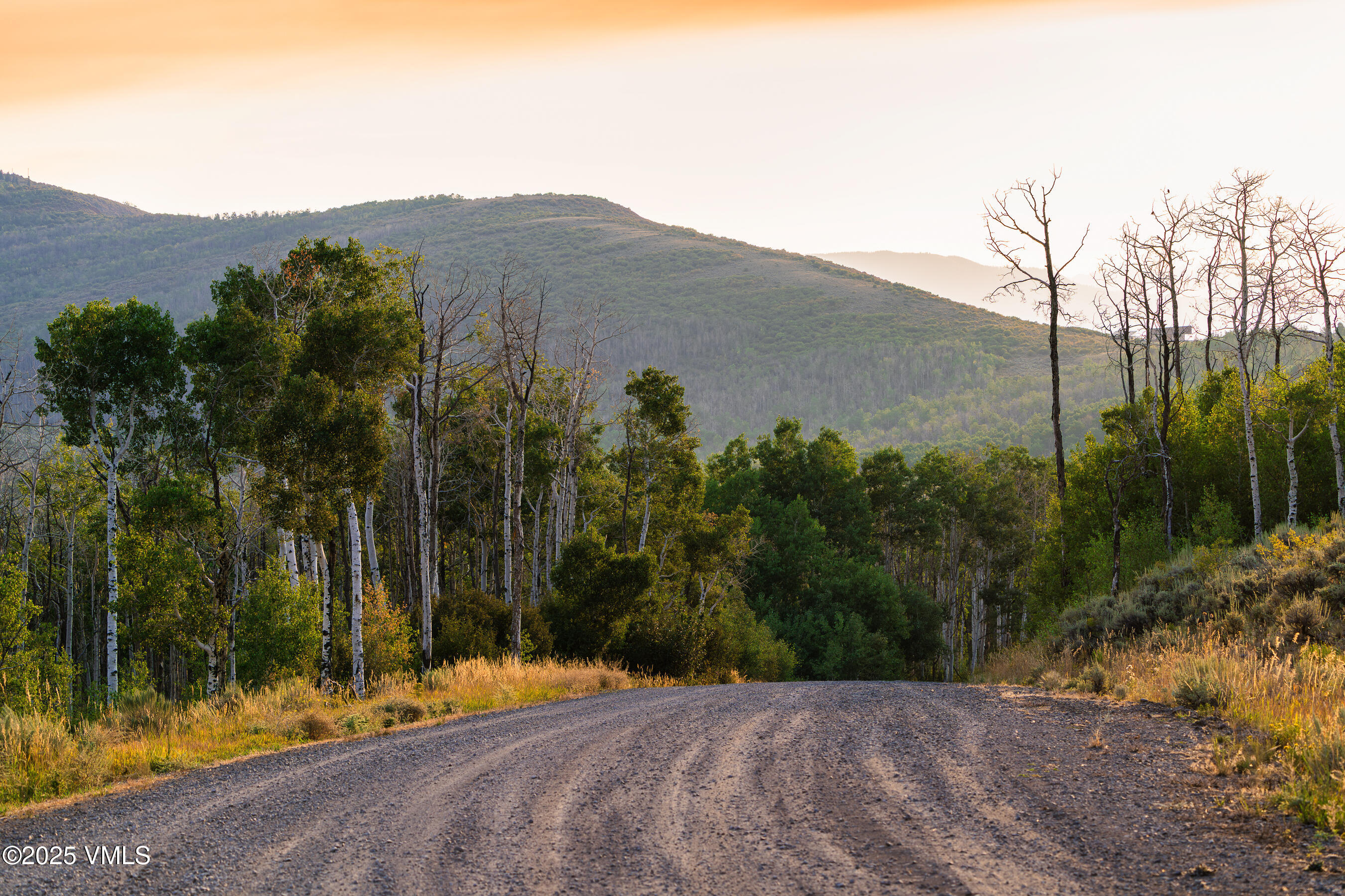 Tbd Diamond Star Road Edwards, CO 81632 - Photo 3 of 36 a view of outdoor space and mountain view