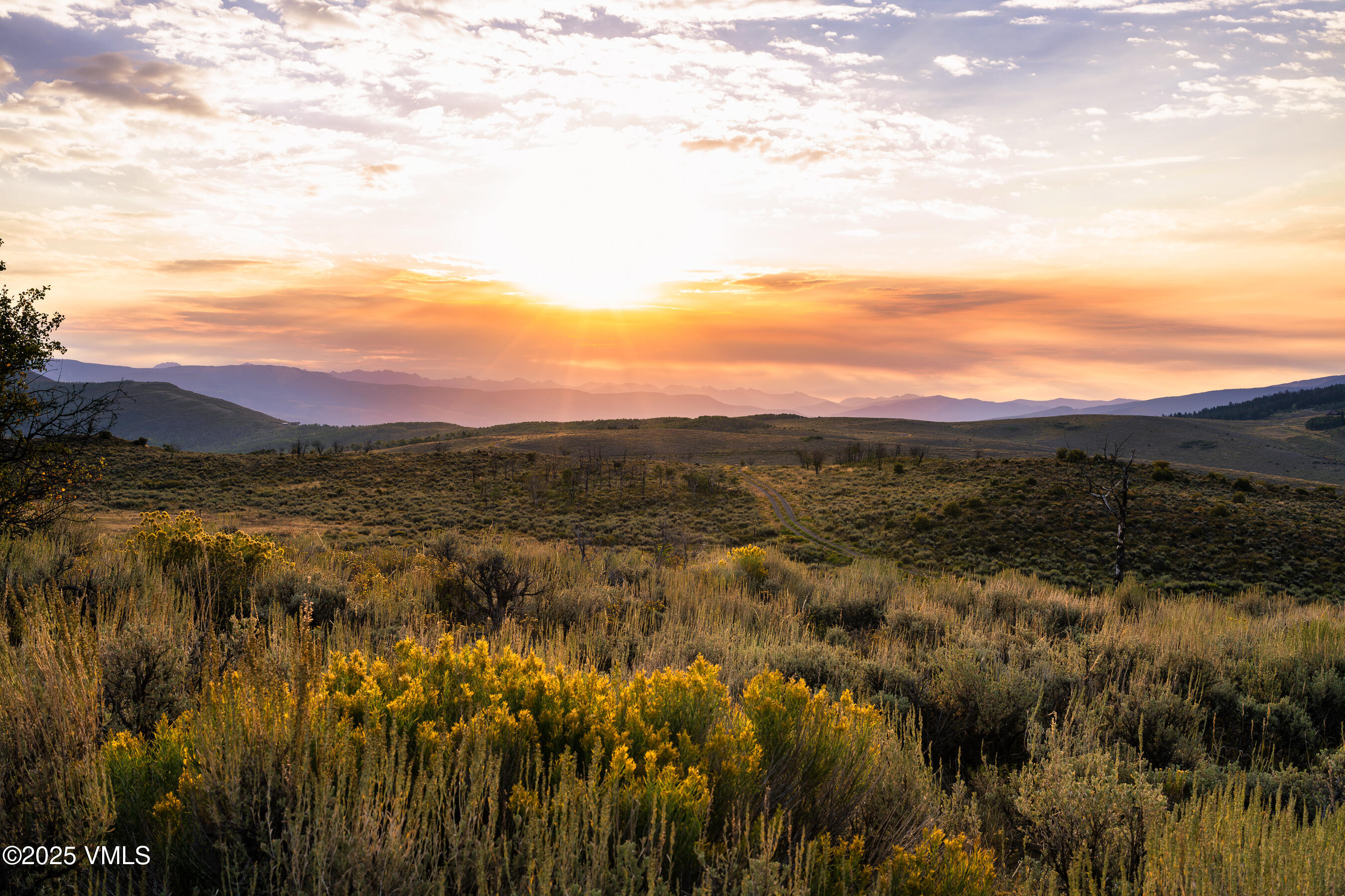 Tbd Diamond Star Road Edwards, CO 81632 - Photo 33 of 36 a view of a city with lush green forest