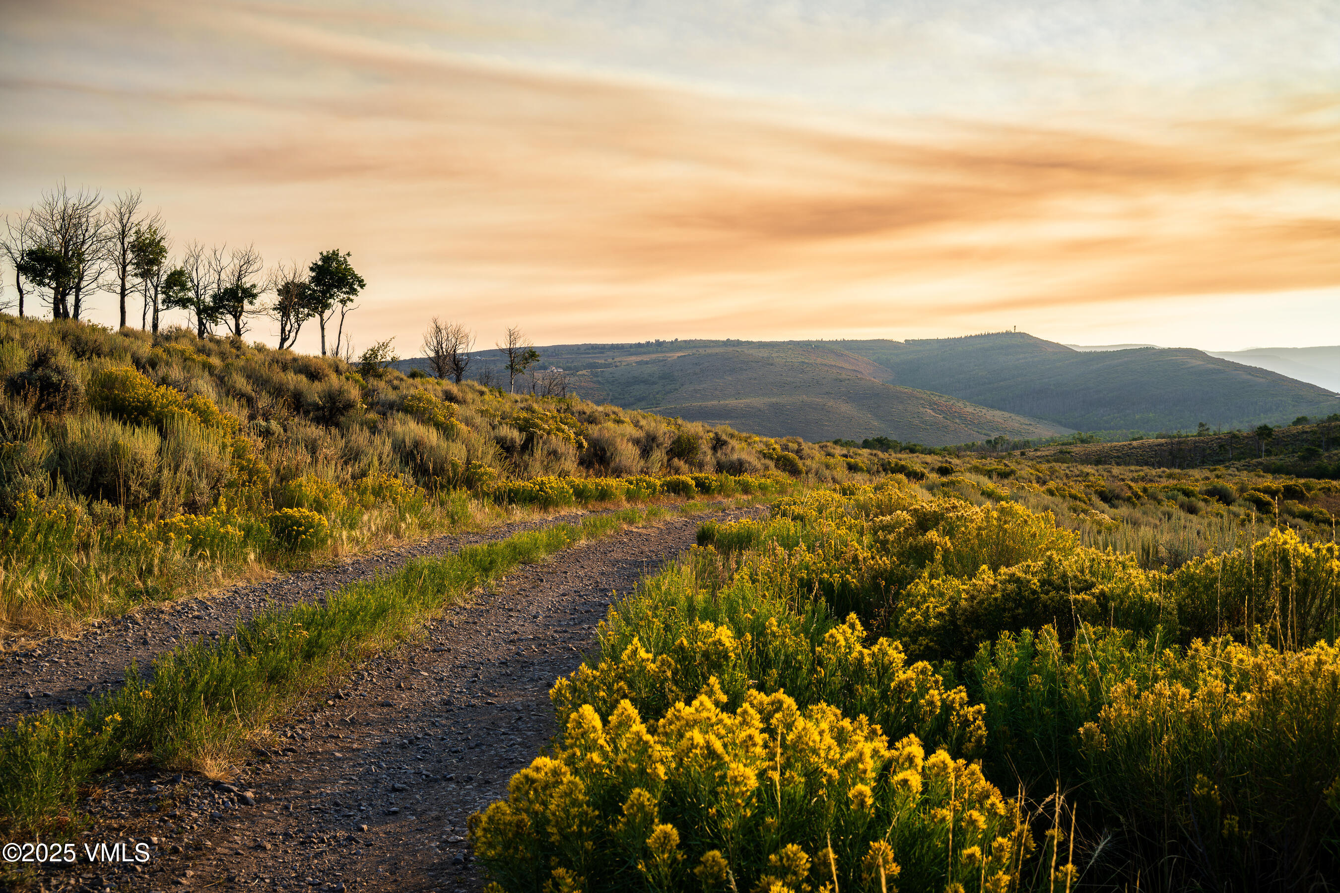 Tbd Diamond Star Road Edwards, CO 81632 - Photo 9 of 36 a view of an outdoor space
