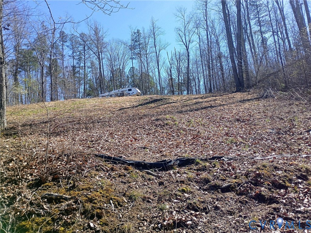 51-52 Crystal Lake Crewe, VA 23930 - Photo 5 of 18 a view of a yard with trees