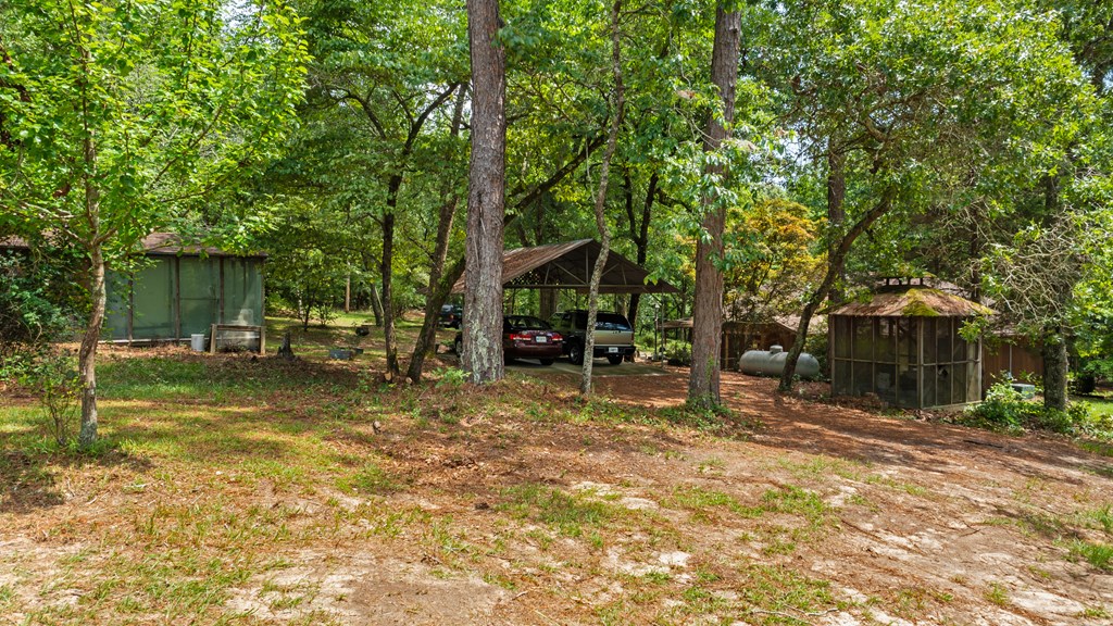 897 Buffalo Road Box Springs, GA 31801 - Photo 28 of 48 2 car carport and additional work shops and pole b