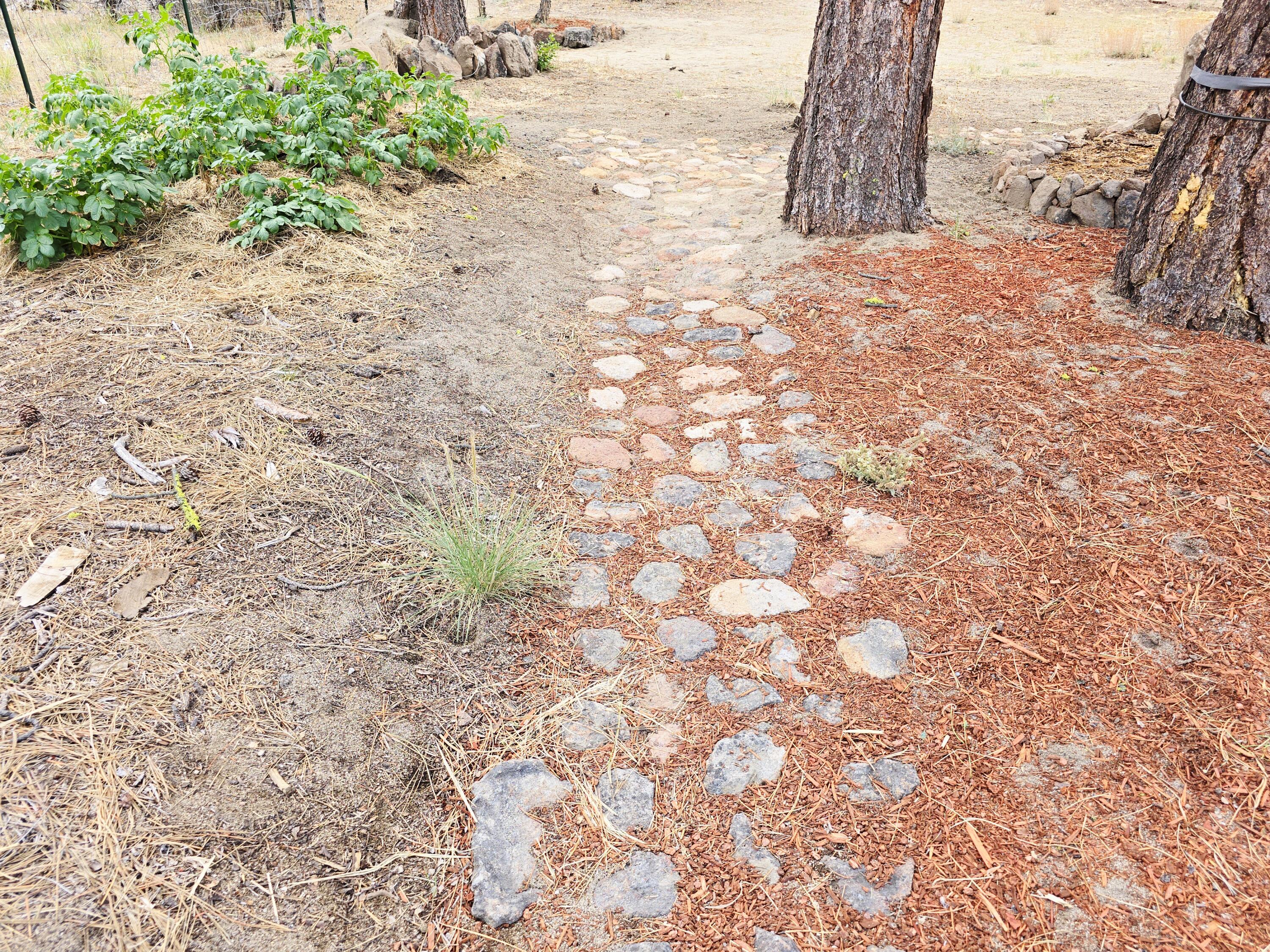 48070 Partin Drive Beatty, OR 97621 - Photo 10 of 29 Walking path