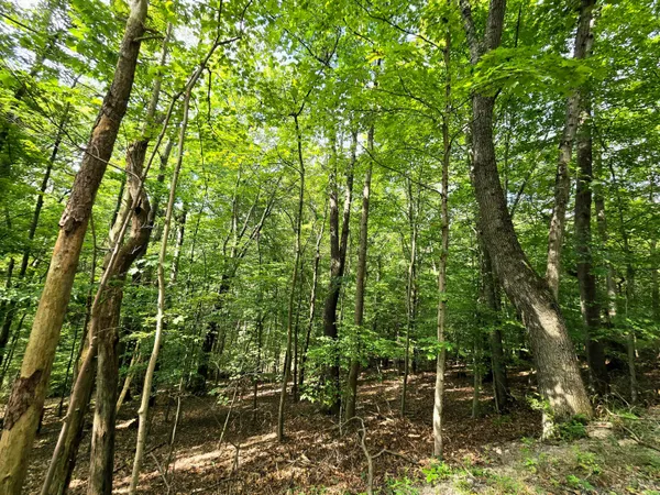 $17,000 | 1756 Mohican Lane, Hide-A-Way Hills, OH 43138