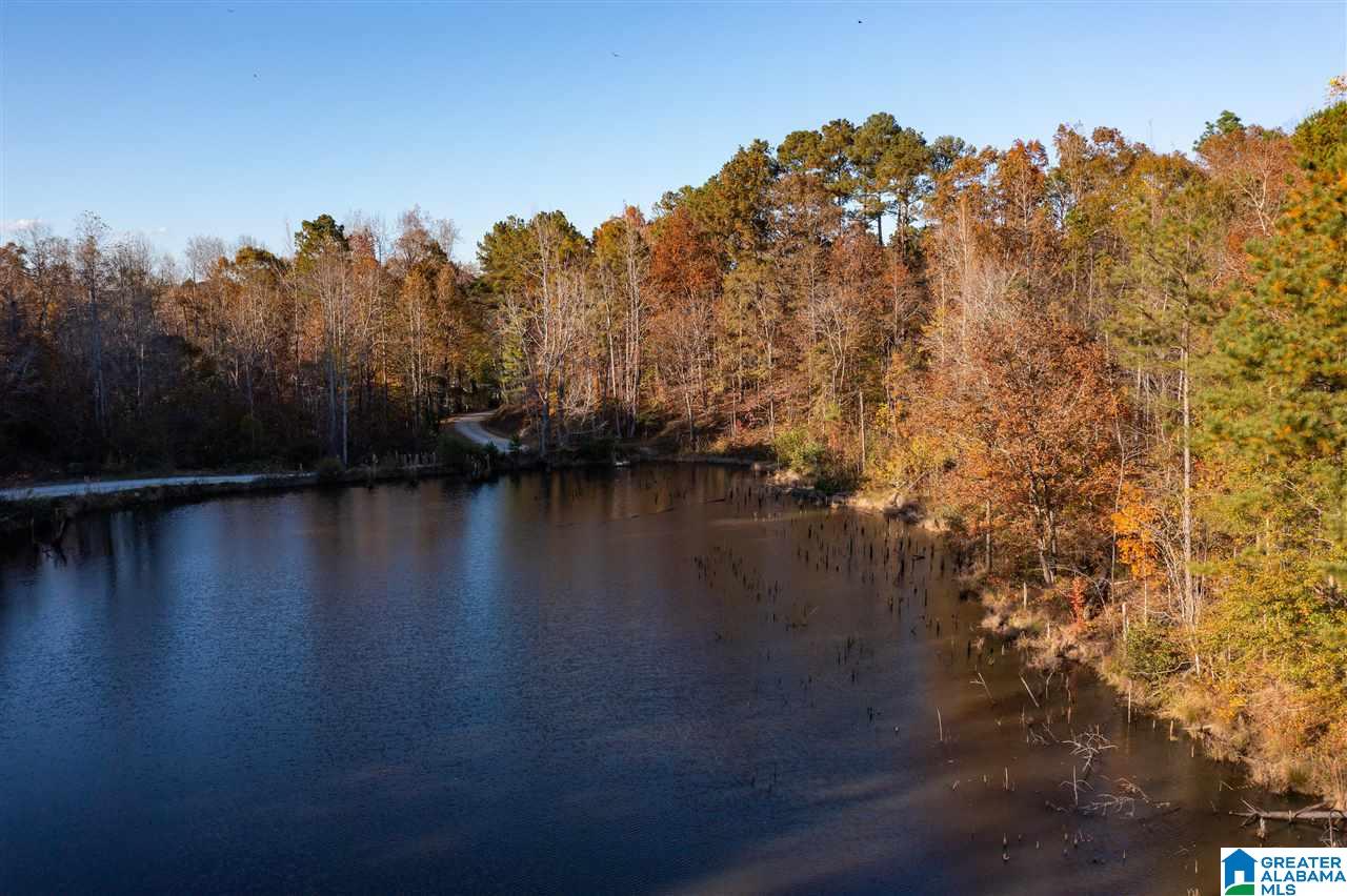 300 Henderson Lake Road Sylacauga, AL 35151 - Photo 16 of 20