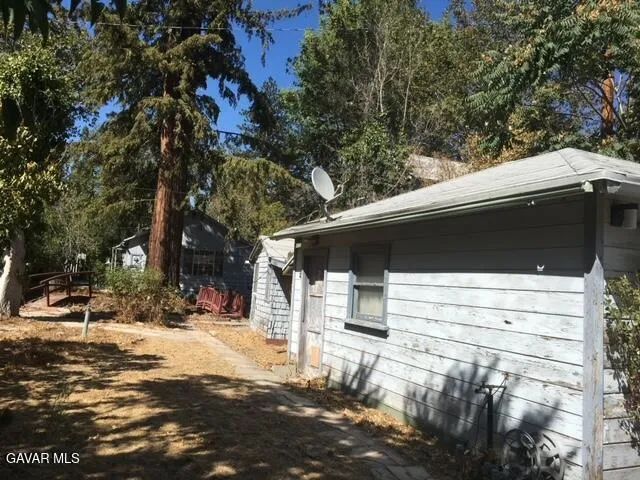 a view of a yard with plants and trees