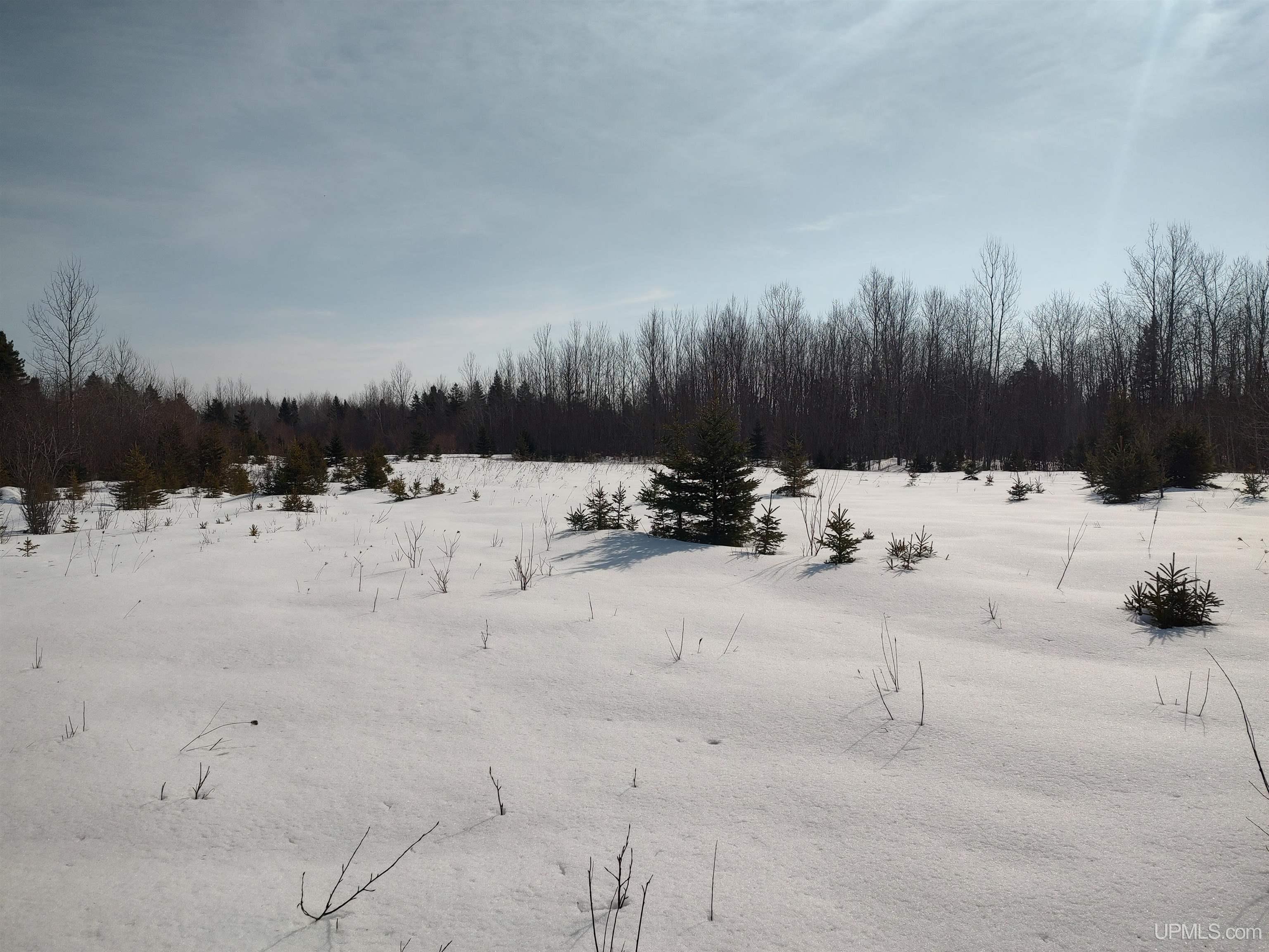 30-acres Parkington Road Gulliver, MI 49840 - Photo 27 of 31