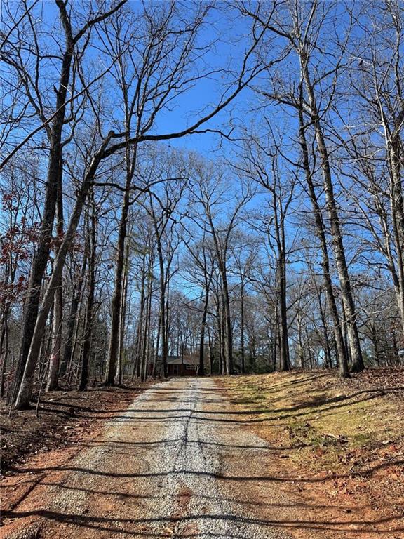 775 Bolton Road Zebulon, GA 30295 - Photo 16 of 17 a view of a yard