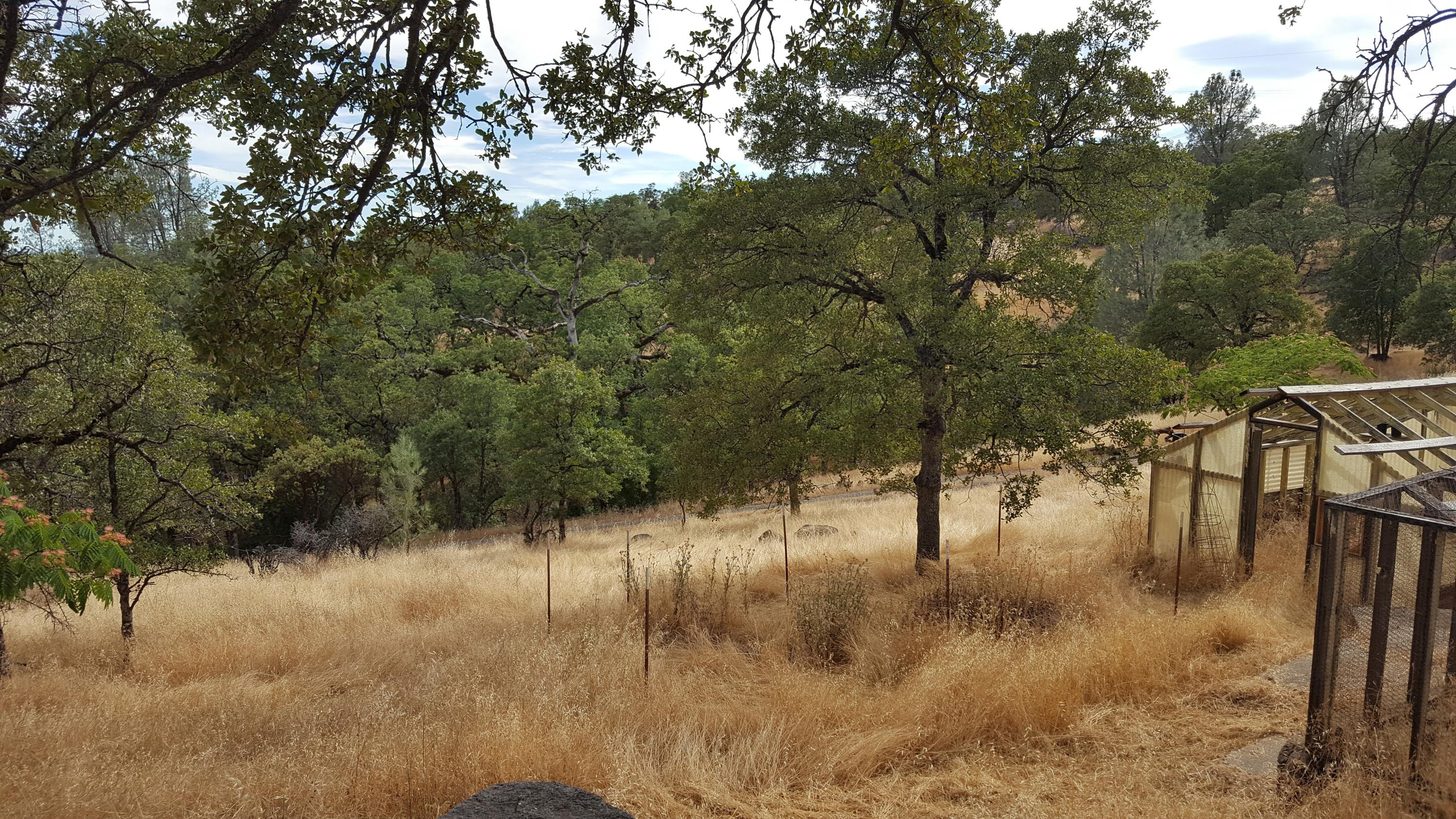 14074 Oak Run Road Oak Run, CA 96069 - Photo 31 of 32 Property V4