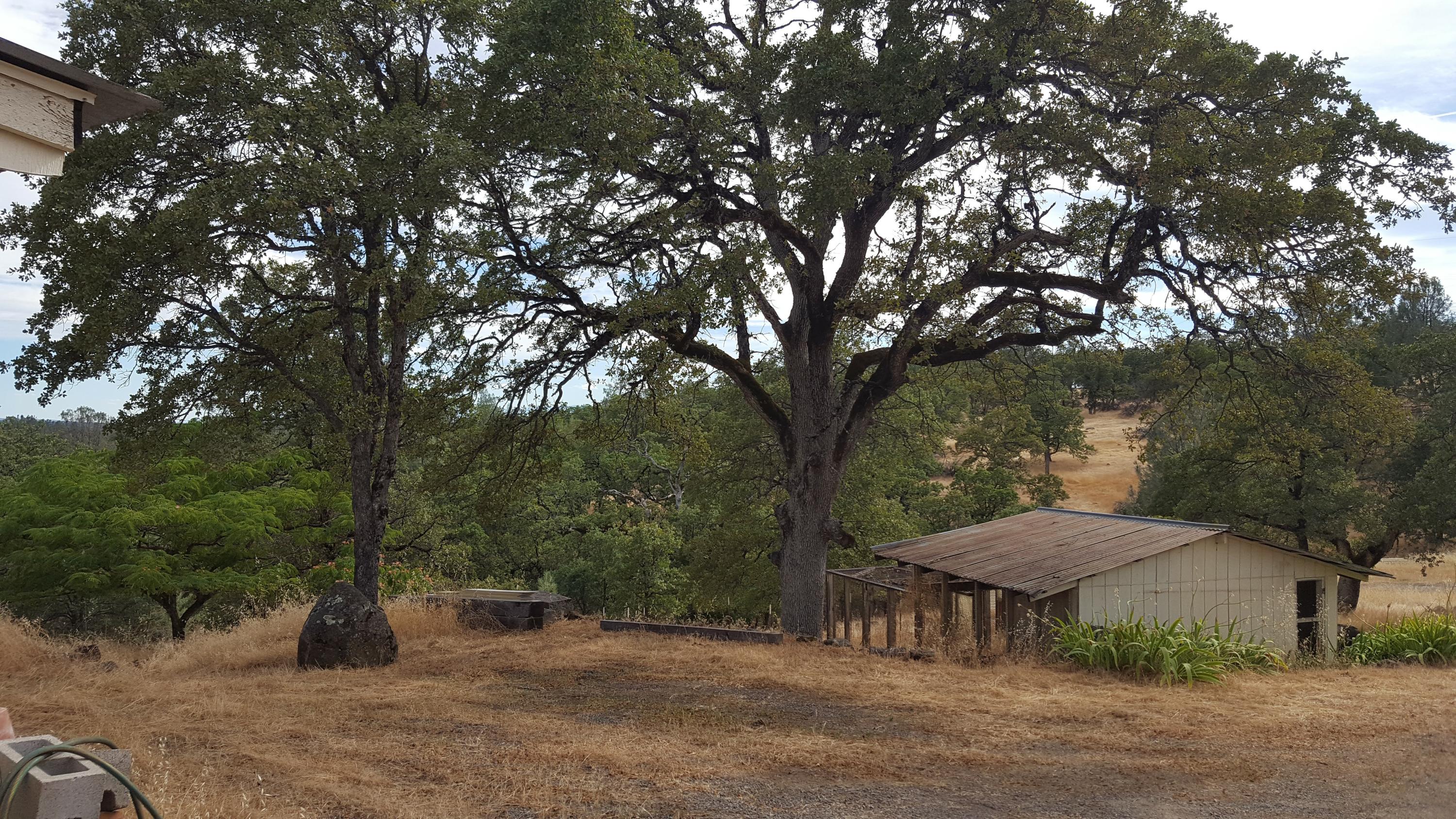14074 Oak Run Road Oak Run, CA 96069 - Photo 9 of 32 Oaks