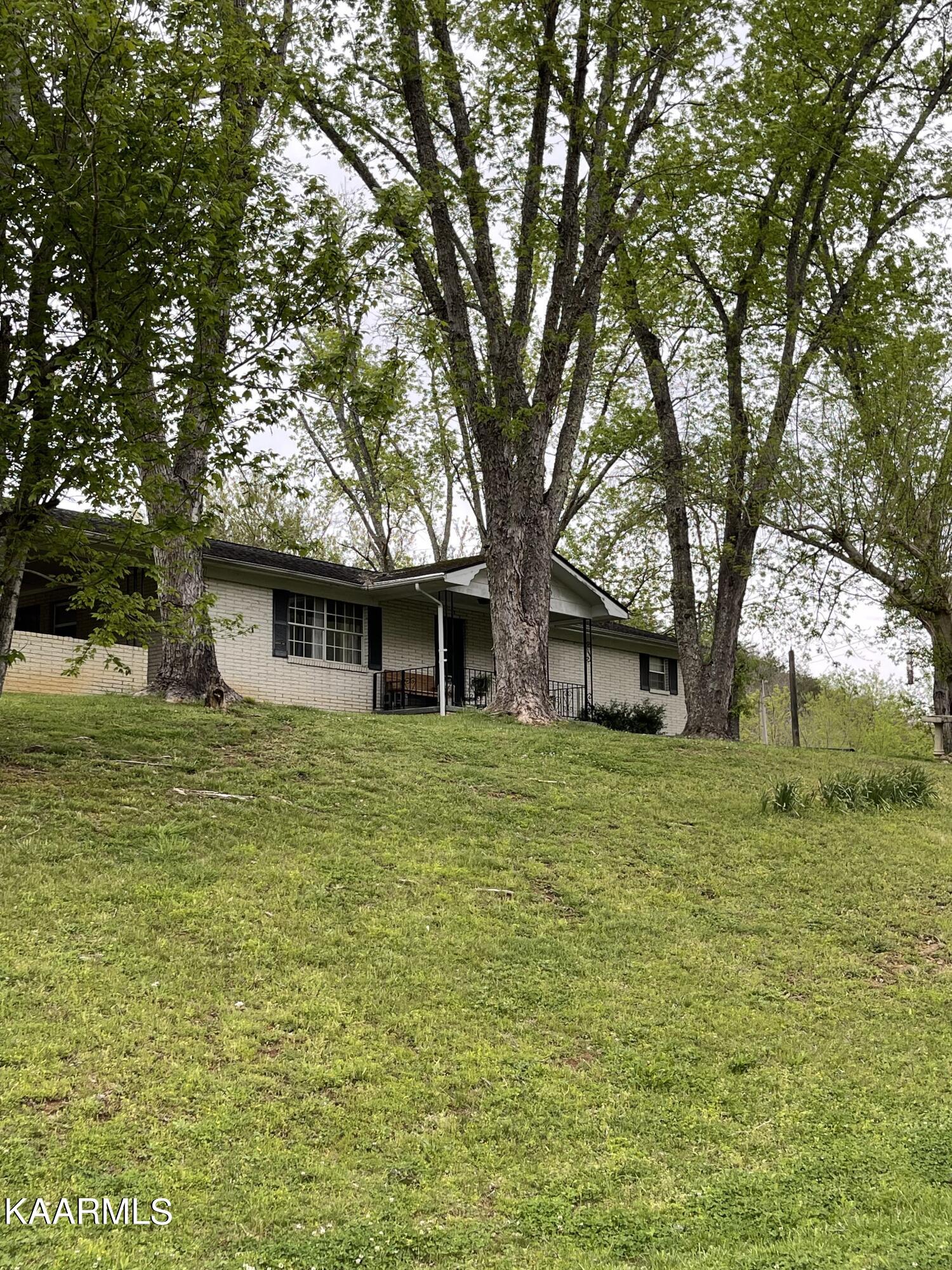 1650 Old Chilhowee Road Seymour, TN 37865 - Photo 1 of 27 Front from Road IMG_2466