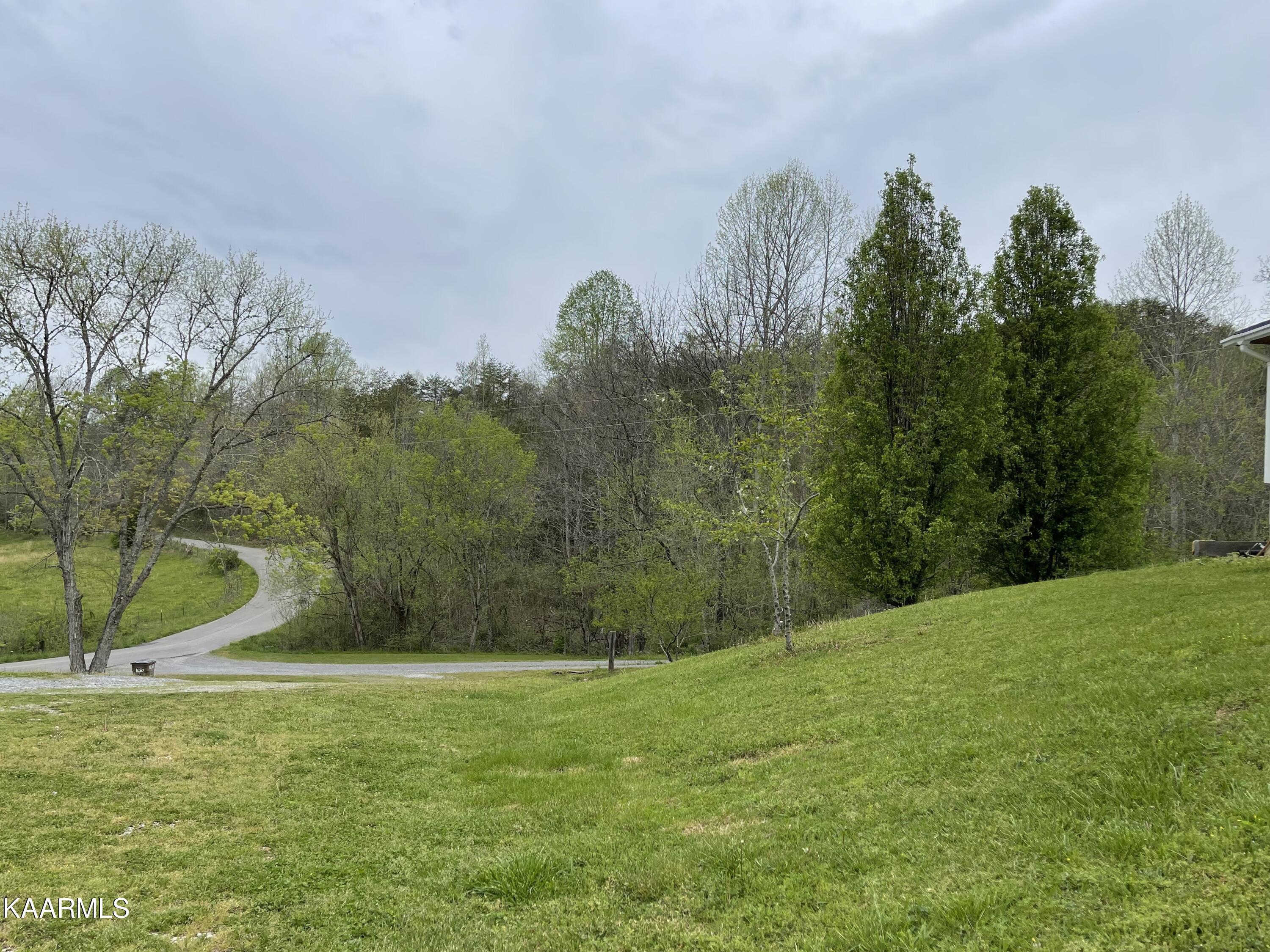 1650 Old Chilhowee Road Seymour, TN 37865 - Photo 11 of 27 Road view IMG_2459