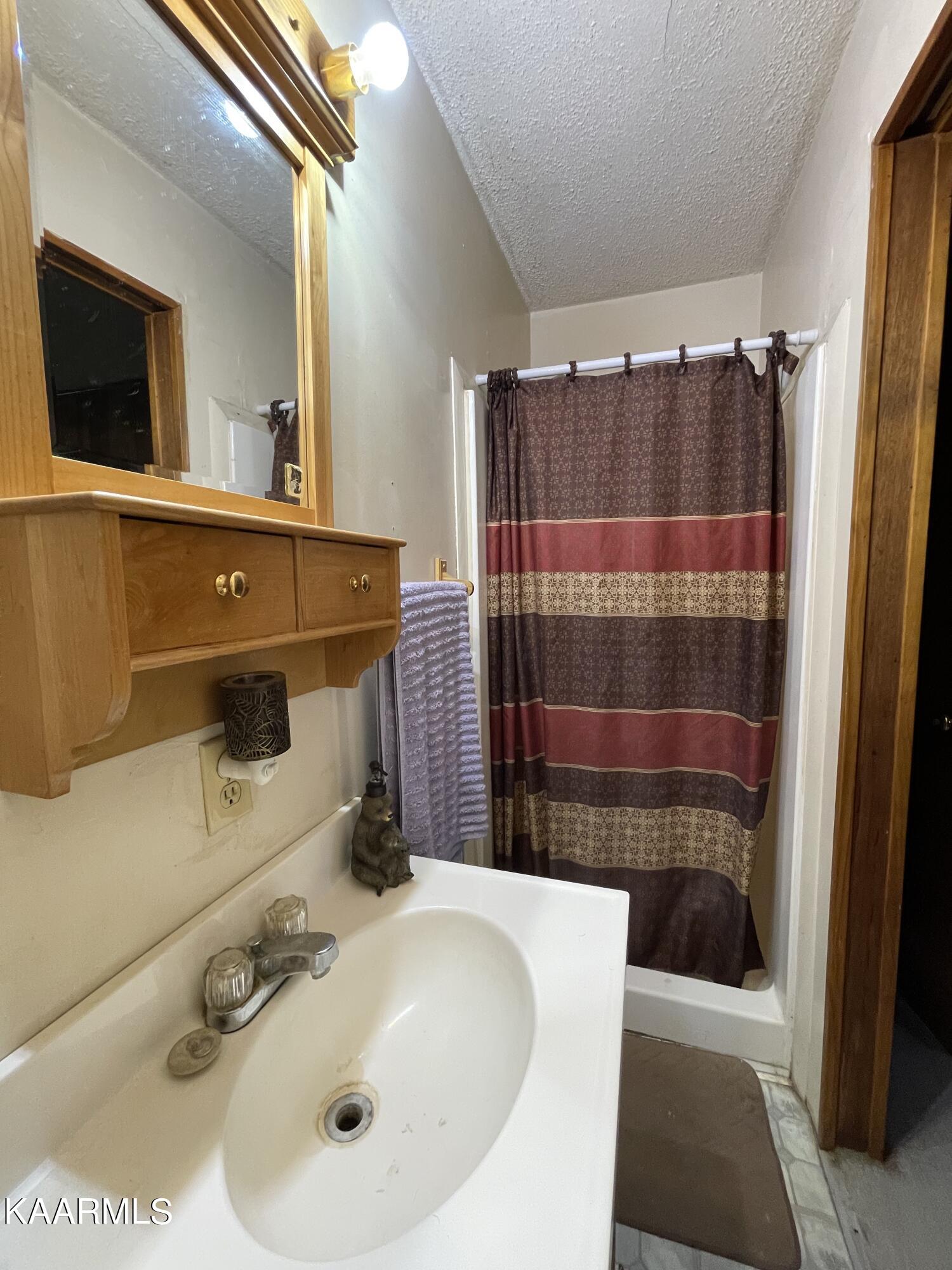 1650 Old Chilhowee Road Seymour, TN 37865 - Photo 21 of 27 Master Bath IMG_2445