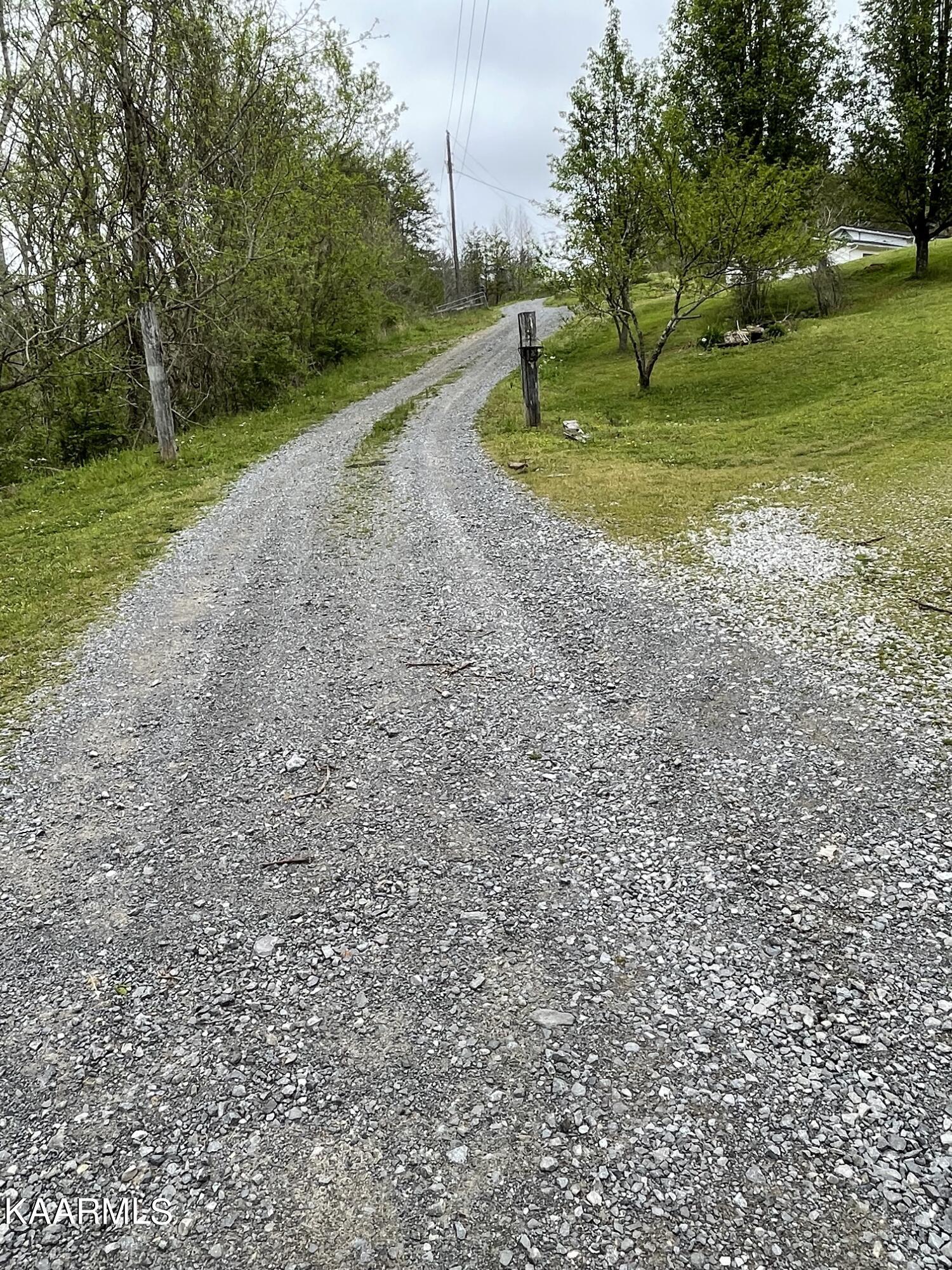 1650 Old Chilhowee Road Seymour, TN 37865 - Photo 27 of 27 Easement IMG_2469