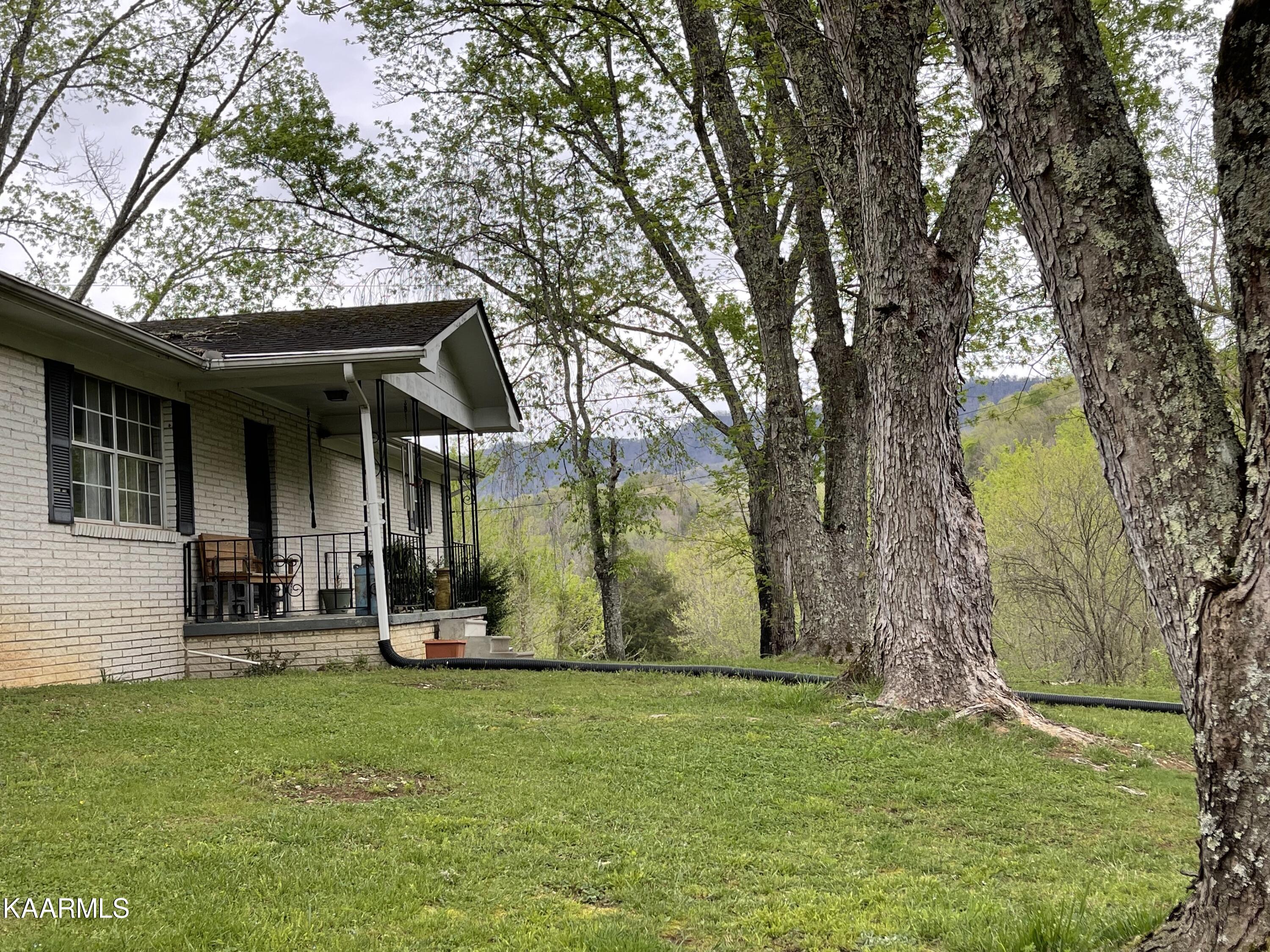 1650 Old Chilhowee Road Seymour, TN 37865 - Photo 3 of 27 Front home mtn view IMG_2454