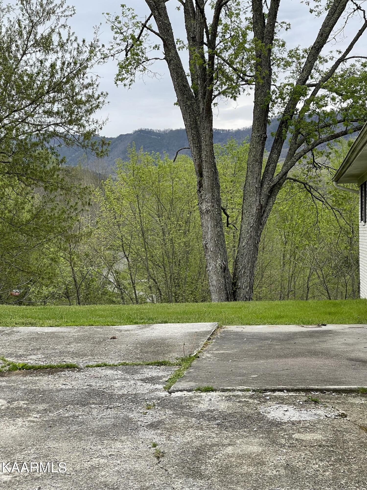 1650 Old Chilhowee Road Seymour, TN 37865 - Photo 9 of 27 View from back patio IMG_2470