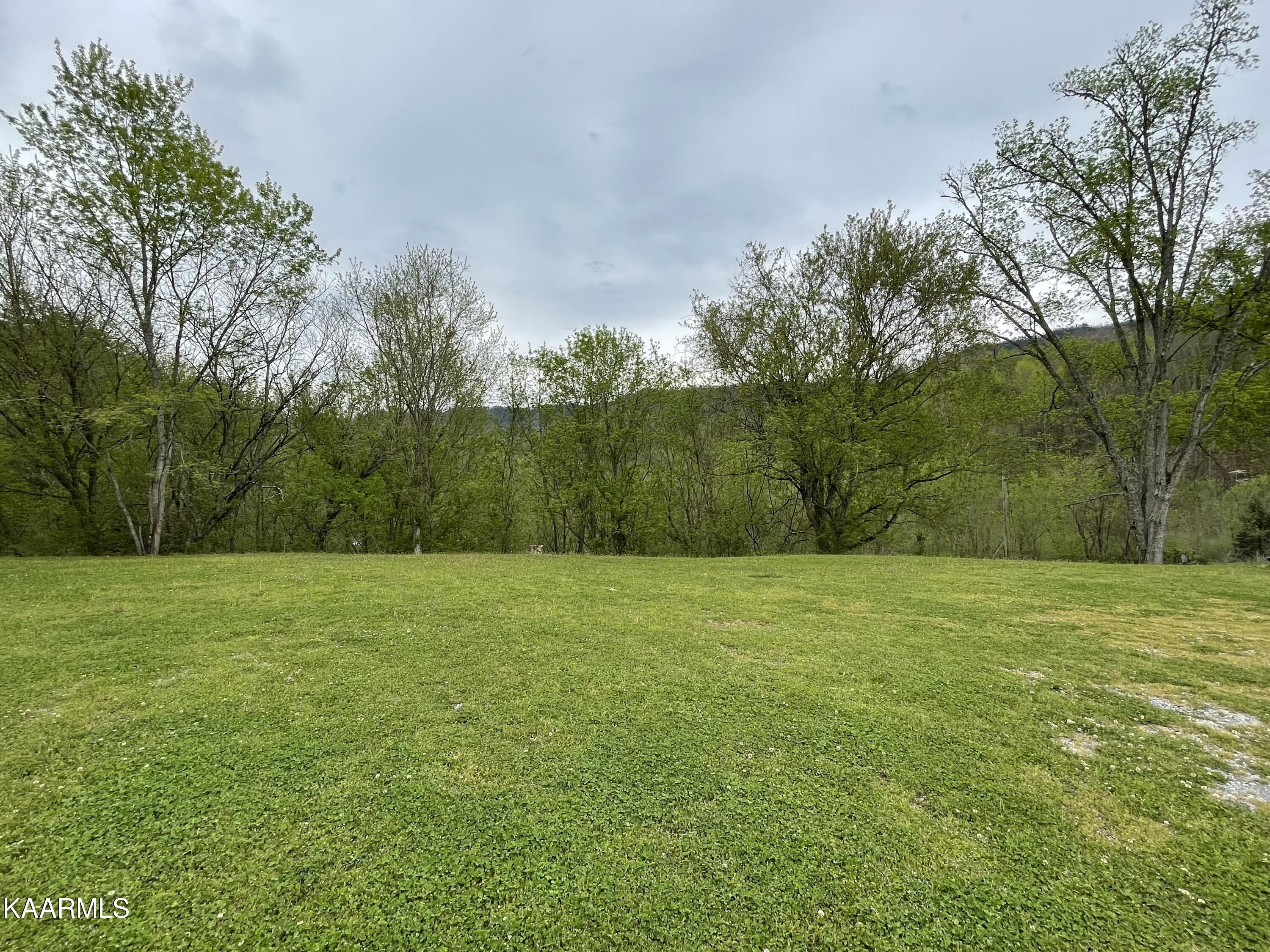 1650 Old Chilhowee Road Seymour, TN 37865 - Photo 10 of 27 Yard IMG_2461