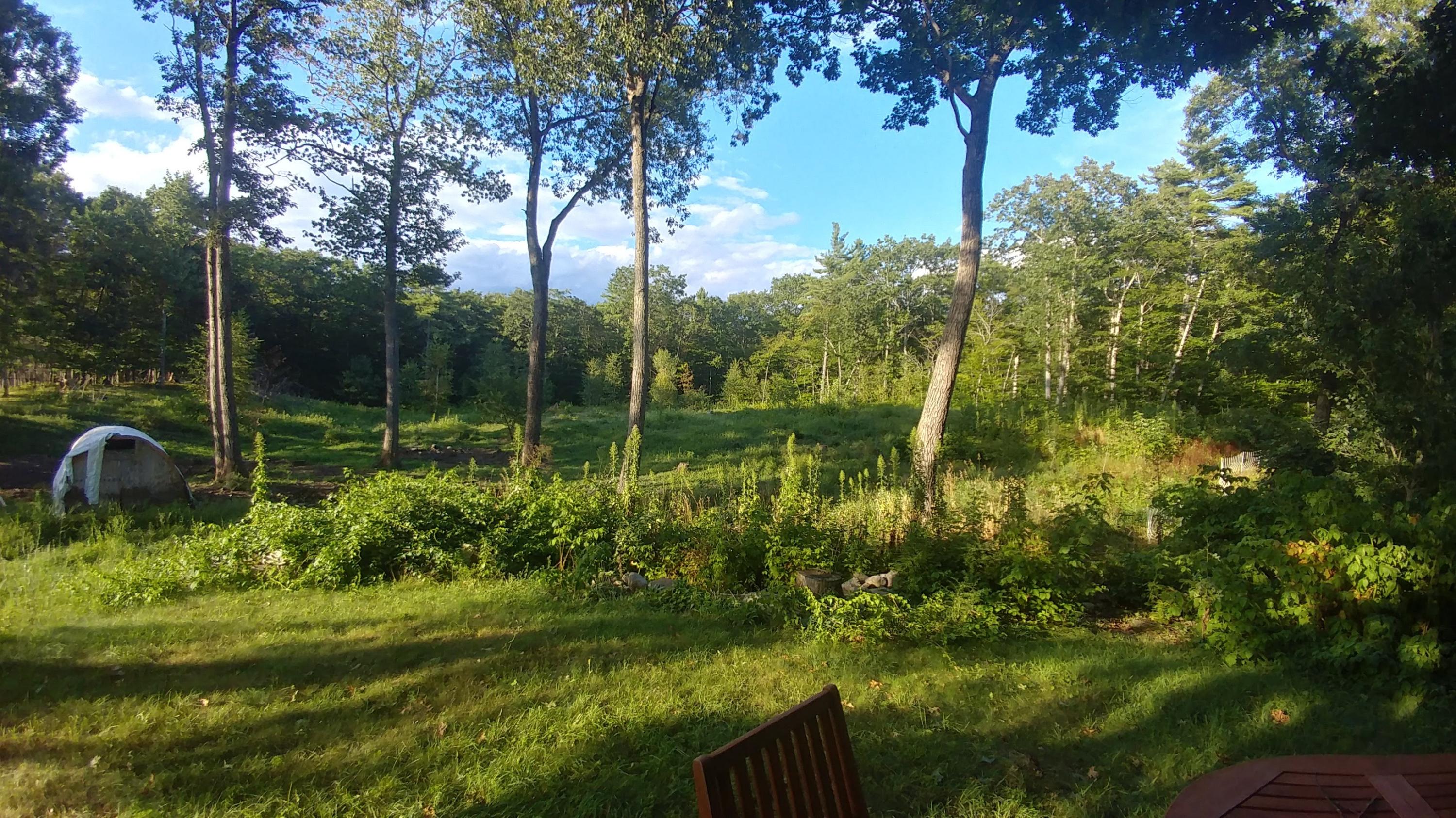 413 Mann Road Acton, ME 04001 - Photo 21 of 39 0814191806_HDR