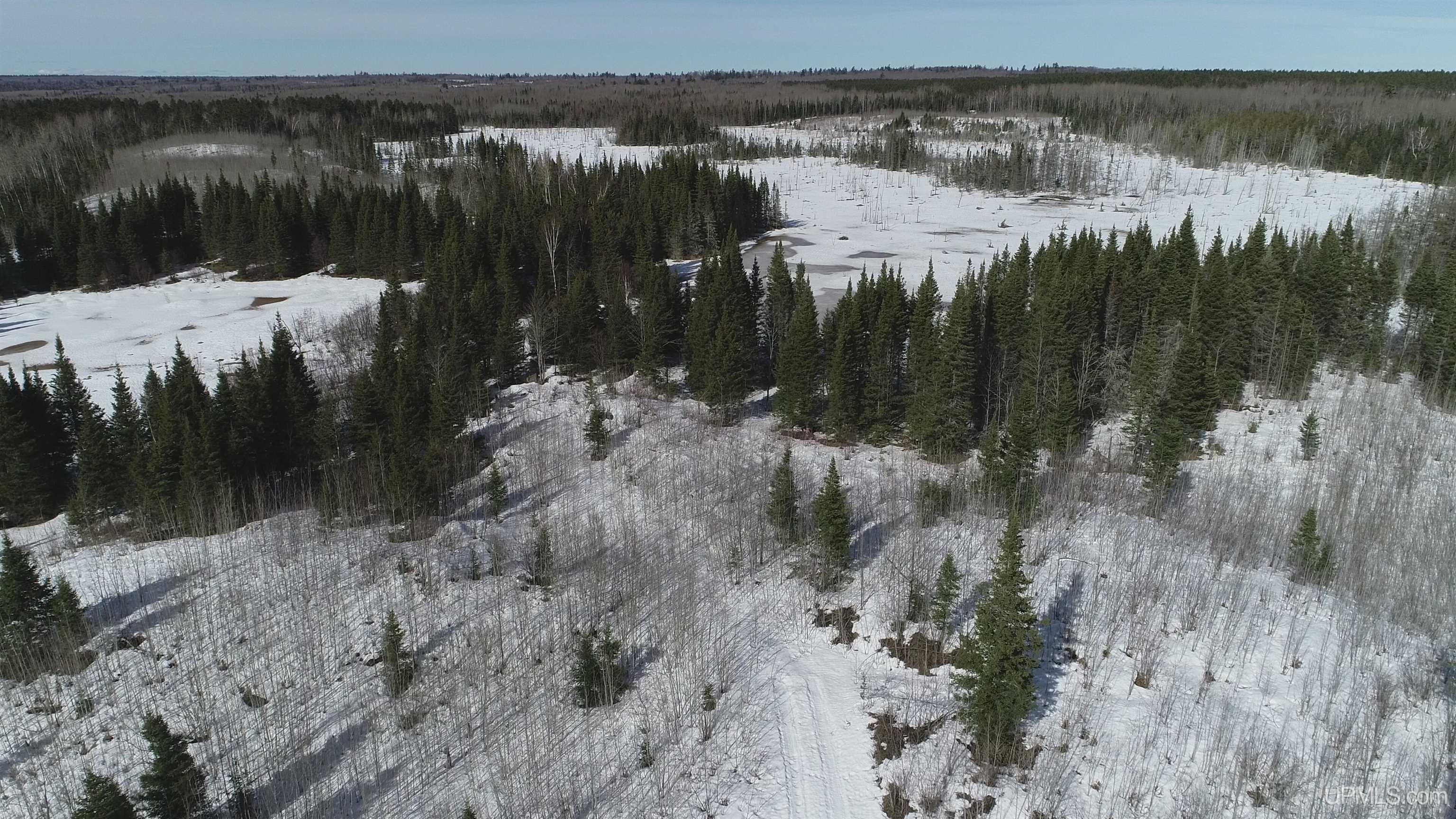 80-acres 80-acres 18th Road Republic, MI 49879 - Photo 14 of 25