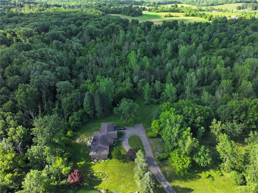 452 Plank Road Walworth, NY 14502 - Photo 2 of 38