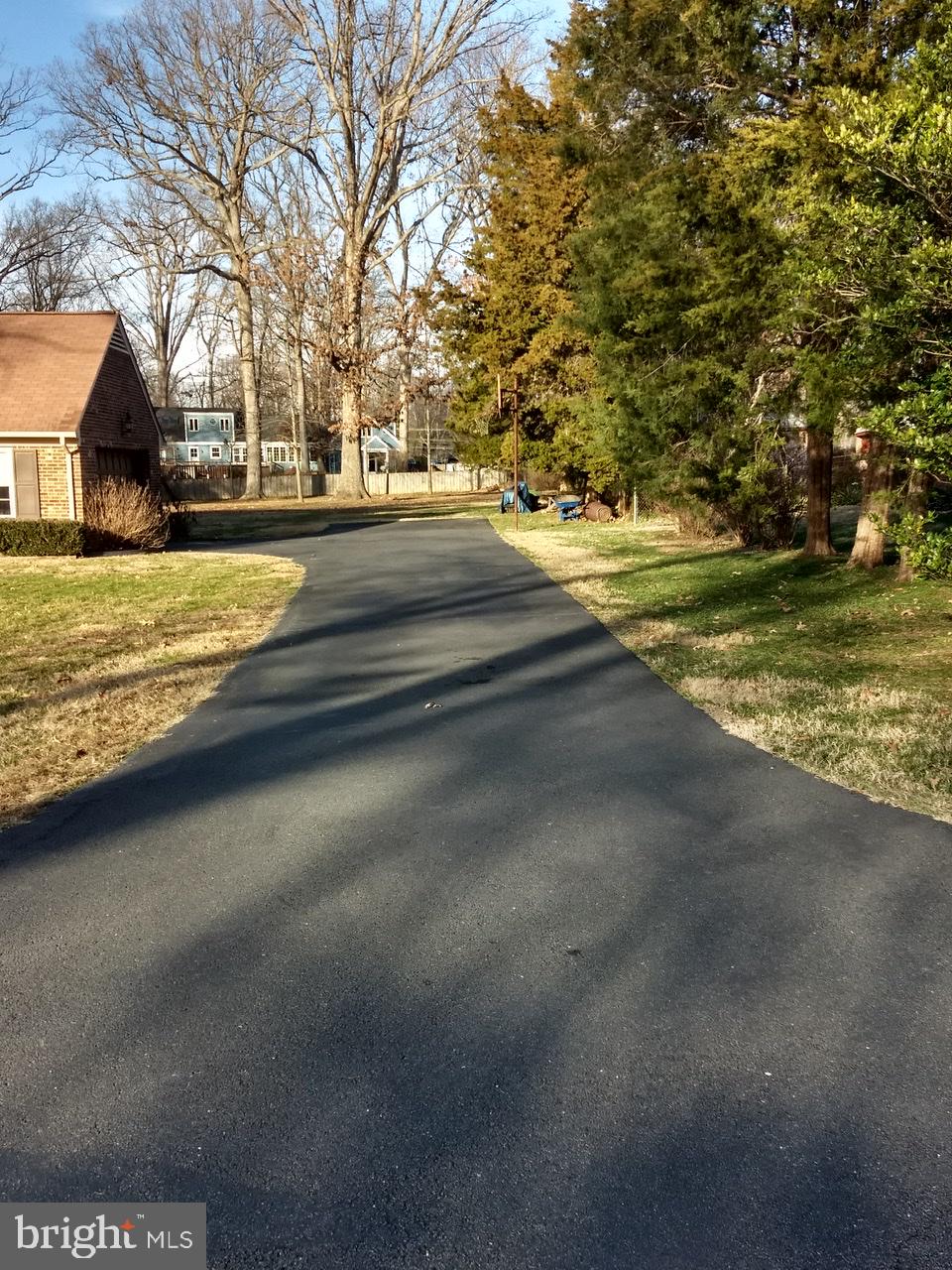 3906 Laurel Road Alexandria, VA 22309 - Photo 3 of 108 Driveway