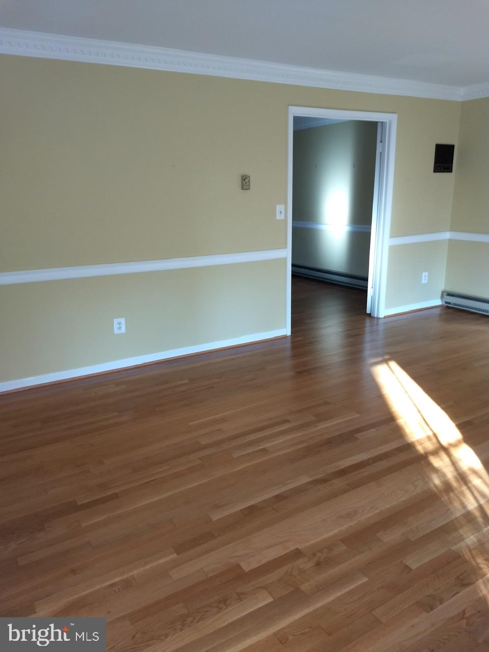 3906 Laurel Road Alexandria, VA 22309 - Photo 27 of 108 Gallery Image 27