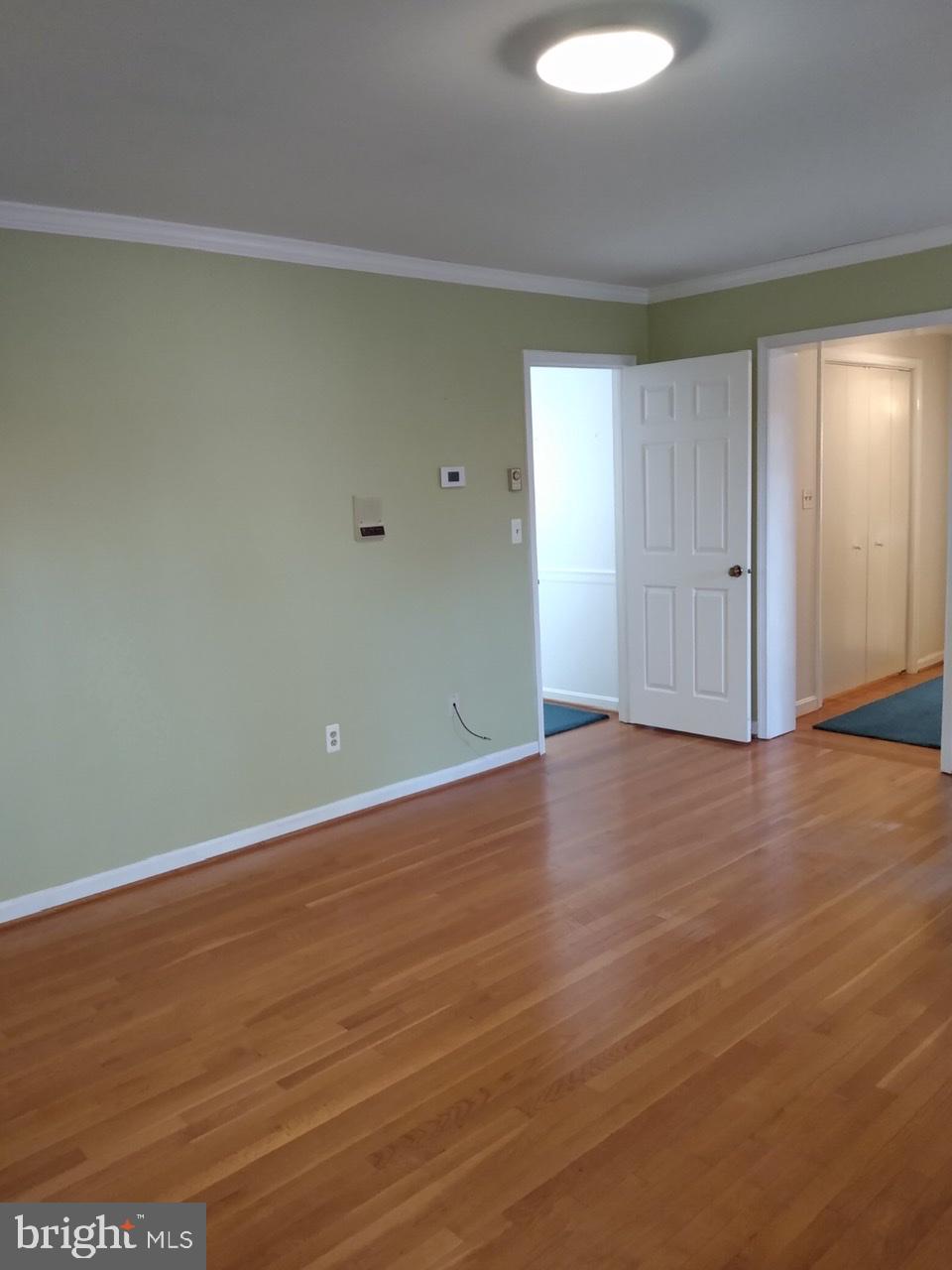 3906 Laurel Road Alexandria, VA 22309 - Photo 35 of 108 Master