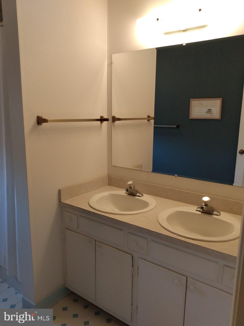 3906 Laurel Road Alexandria, VA 22309 - Photo 42 of 108 Gallery Image 42