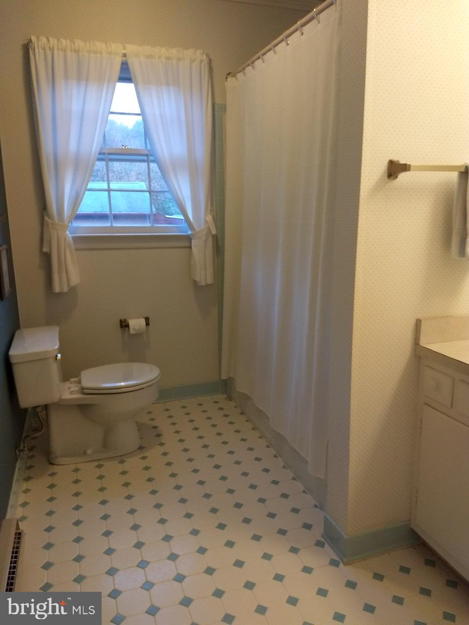 3906 Laurel Road Alexandria, VA 22309 - Photo 73 of 108 Gallery Image 73