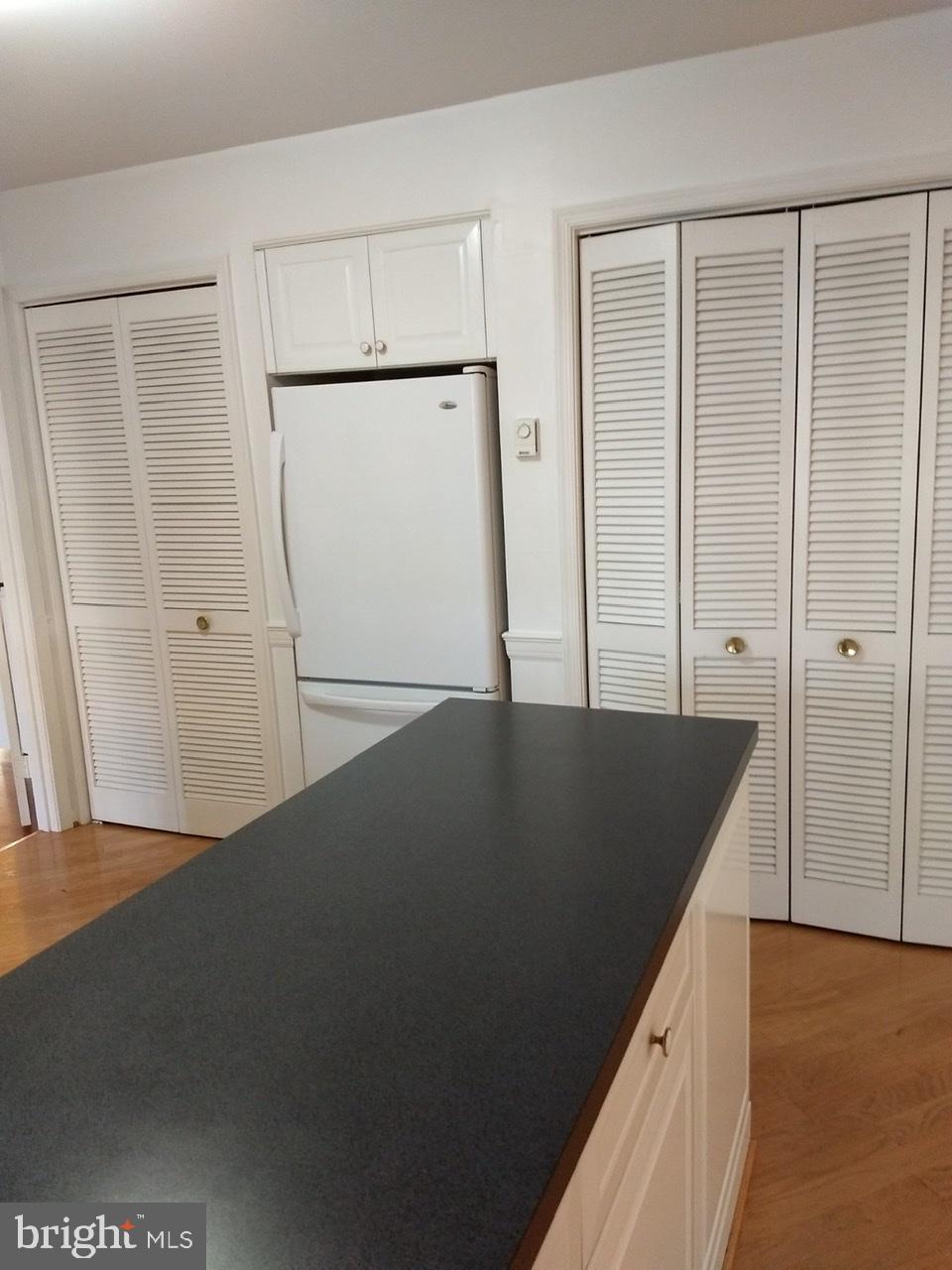 3906 Laurel Road Alexandria, VA 22309 - Photo 9 of 108 Gallery Image 9