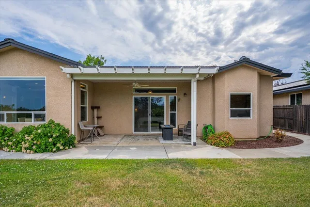 a view of a garden with a tree in front of the house