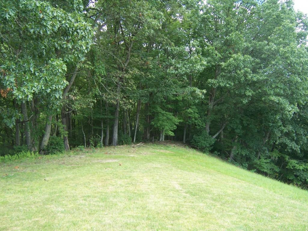 Tbd Little Dry Run Road, Unit 5 Butler, TN 37640 - Photo 3 of 7 Photo 3