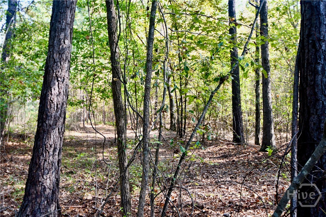 1192 Sunset Cove Tignall, GA 30668 - Photo 29 of 34