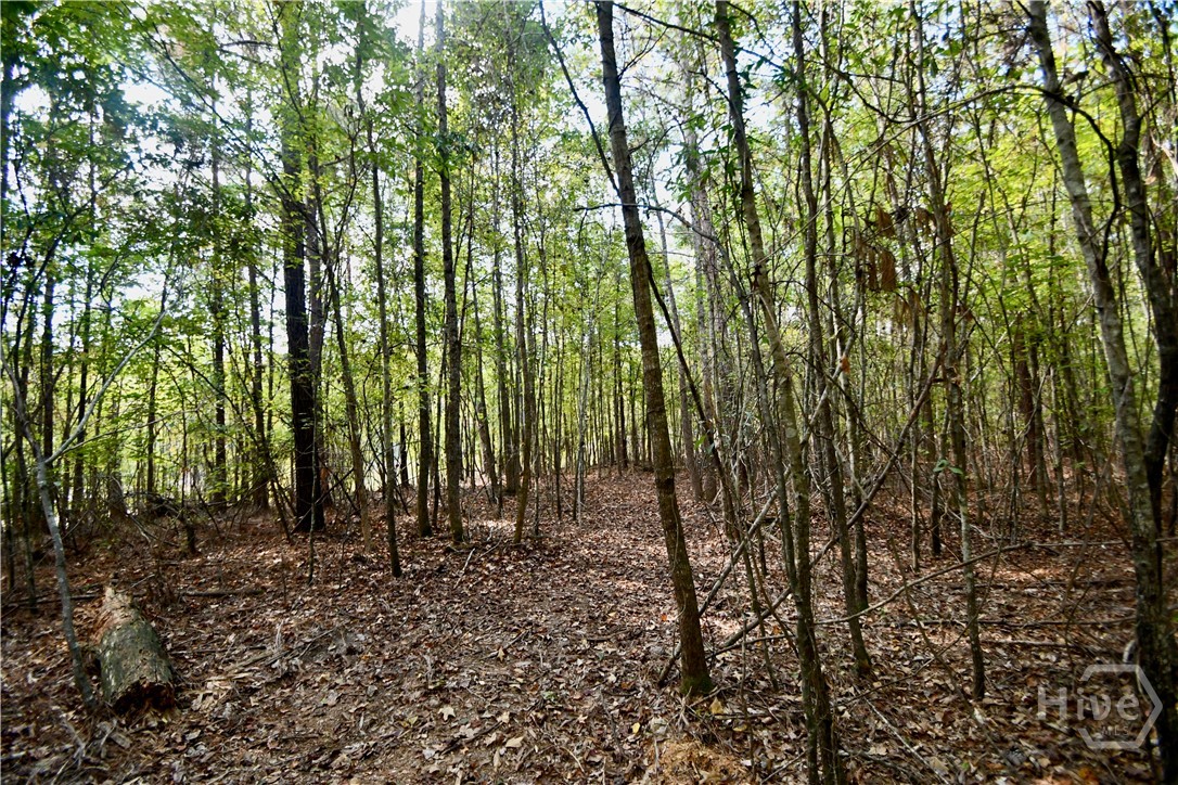 1192 Sunset Cove Tignall, GA 30668 - Photo 31 of 34