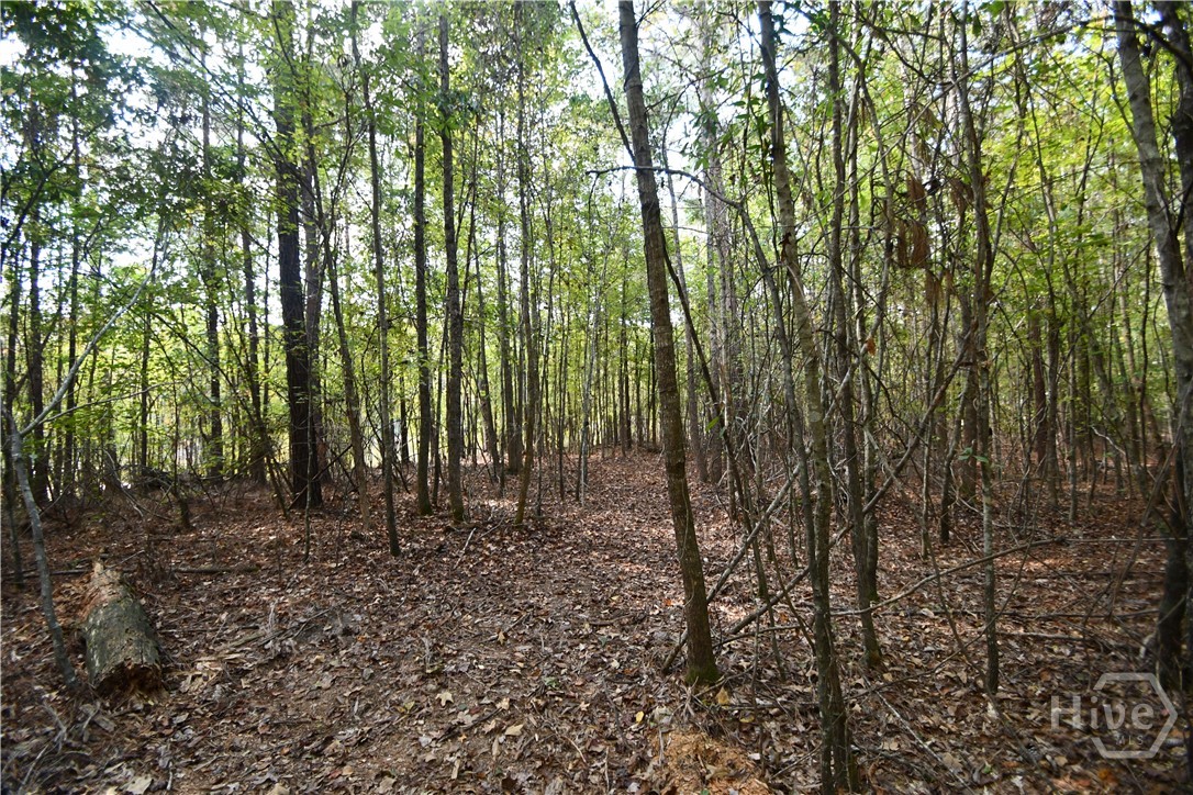 1192 Sunset Cove Tignall, GA 30668 - Photo 32 of 34