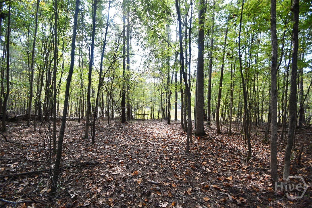 1192 Sunset Cove Tignall, GA 30668 - Photo 33 of 34