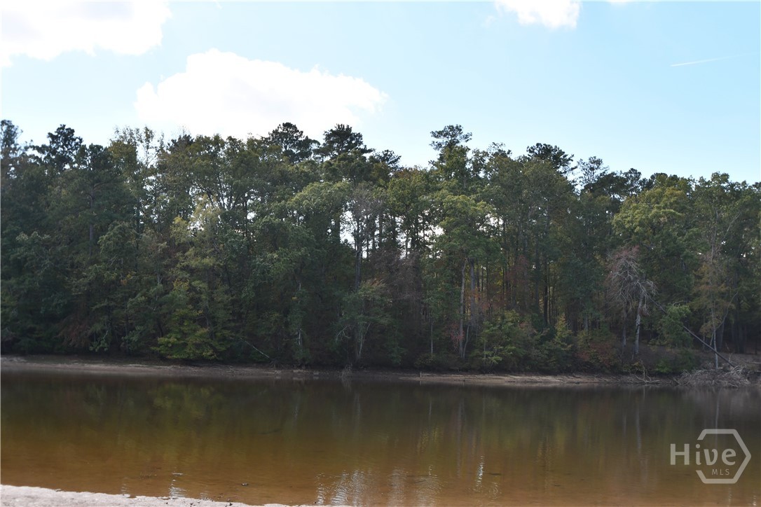 1192 Sunset Cove Tignall, GA 30668 - Photo 34 of 34