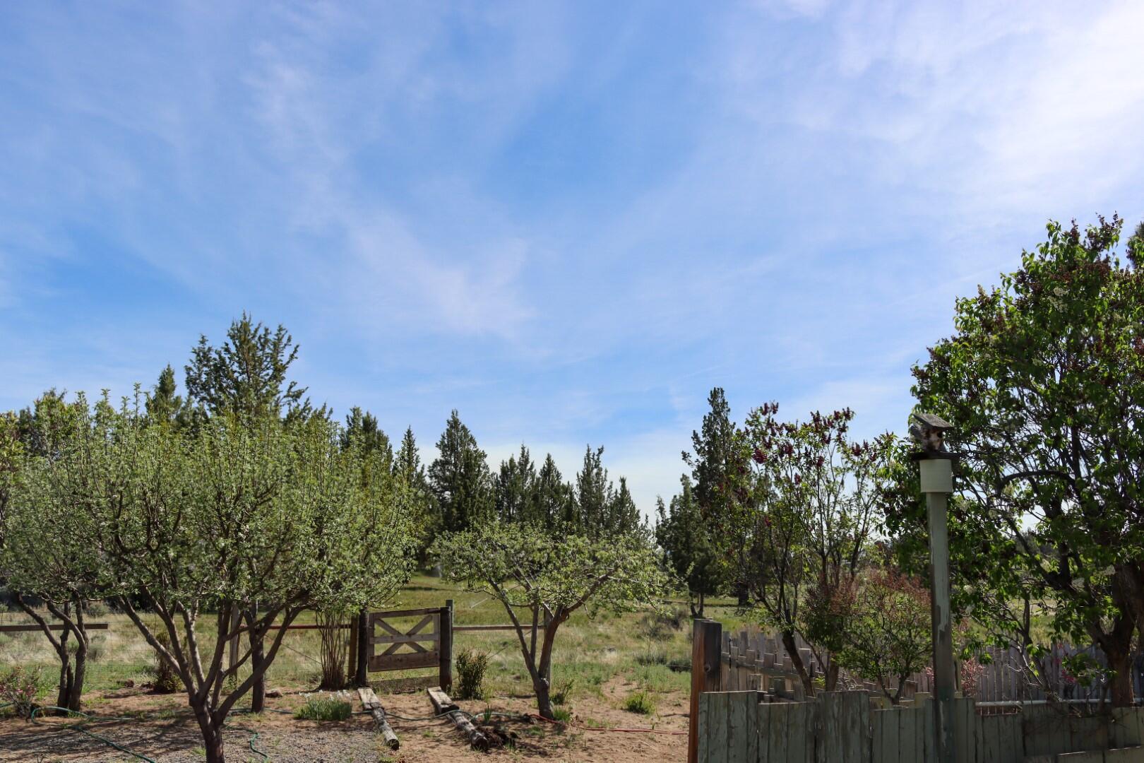 22460 McArdle Road Bend, OR 97702 - Photo 23 of 32 Pic 24