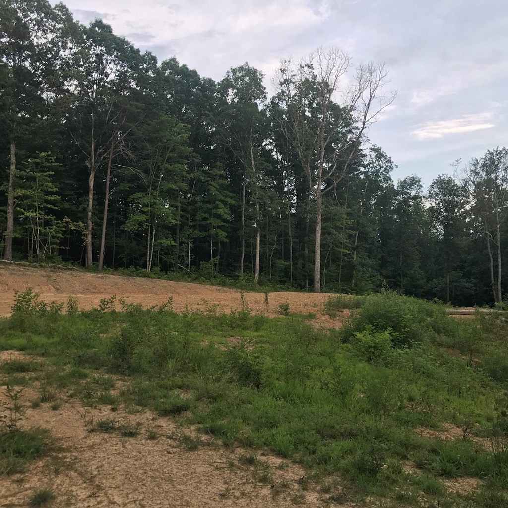 979 Shaver Road Dayton, TN 37321 - Photo 15 of 15