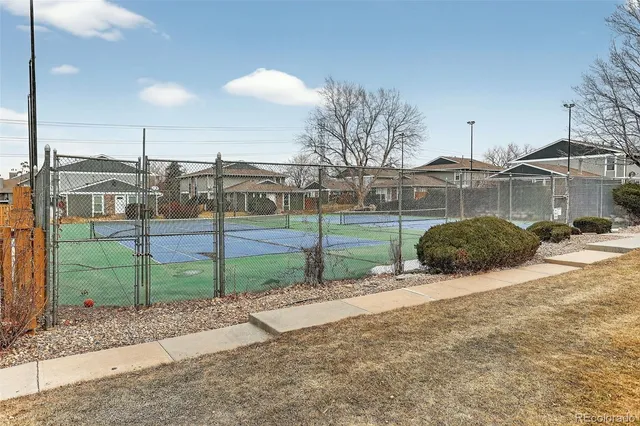 a view of yard with trees