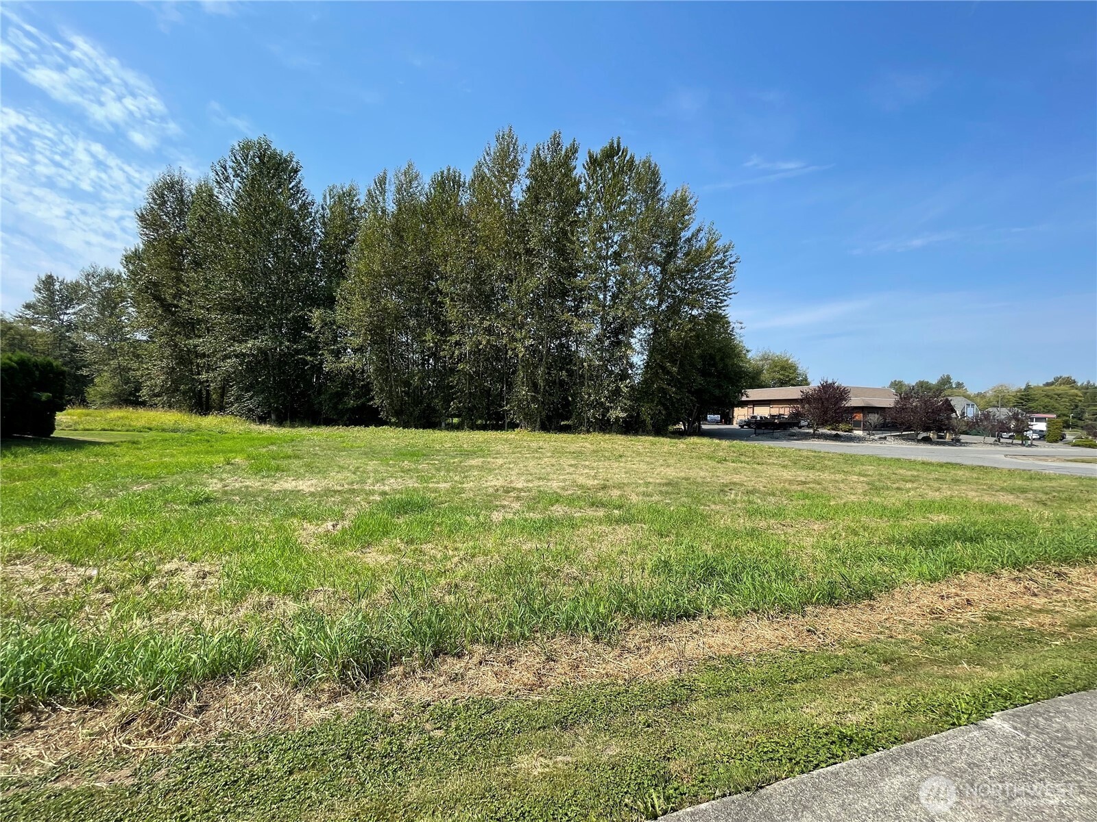 3536 Jay Way Mount Vernon, WA 98273 - Photo 5 of 7 a view of green field with trees in the background