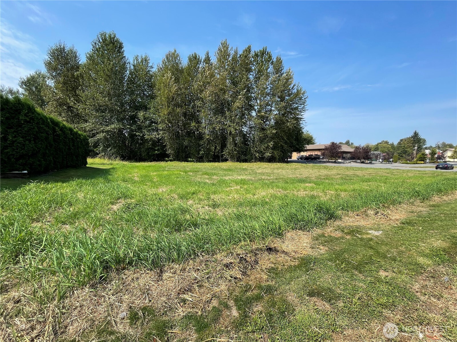 3536 Jay Way Mount Vernon, WA 98273 - Photo 7 of 7 a view of a grassy field with trees in the background