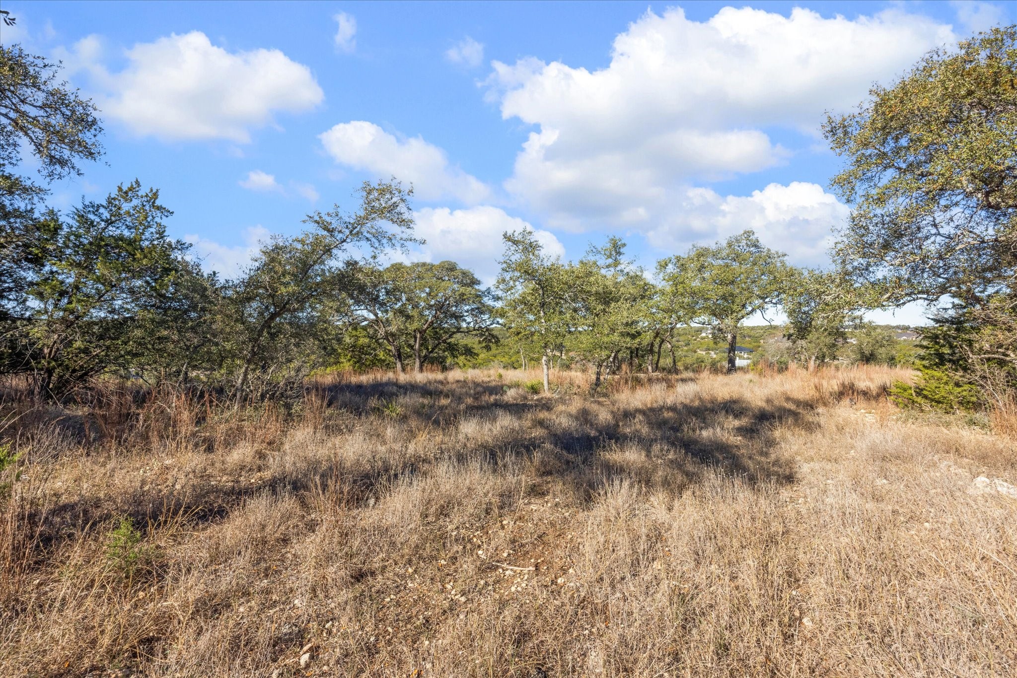 1021 Malbec Loop Canyon Lake, TX 78133 - Photo 7 of 10 a view of a lake